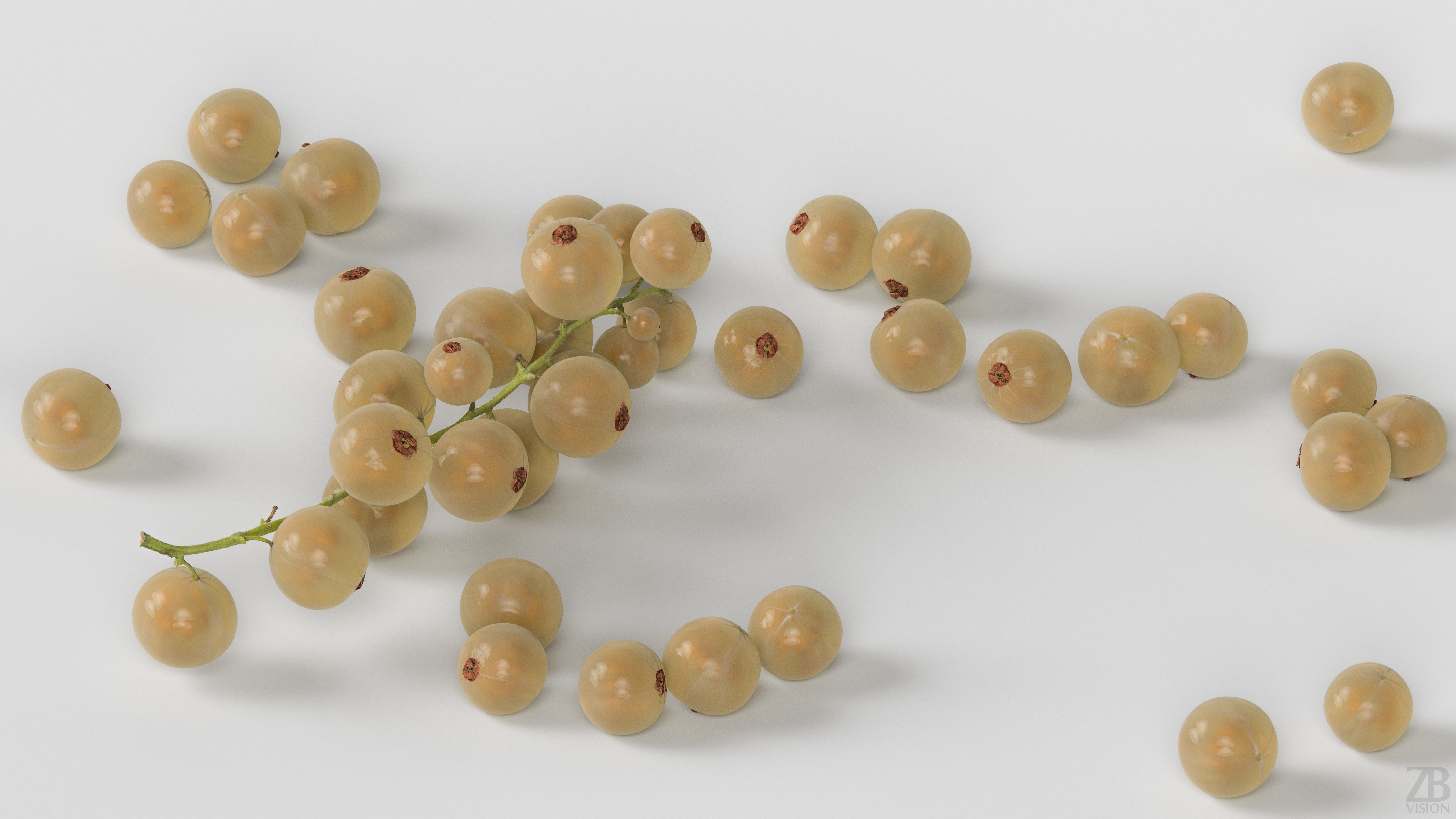 Currant 3D model_2