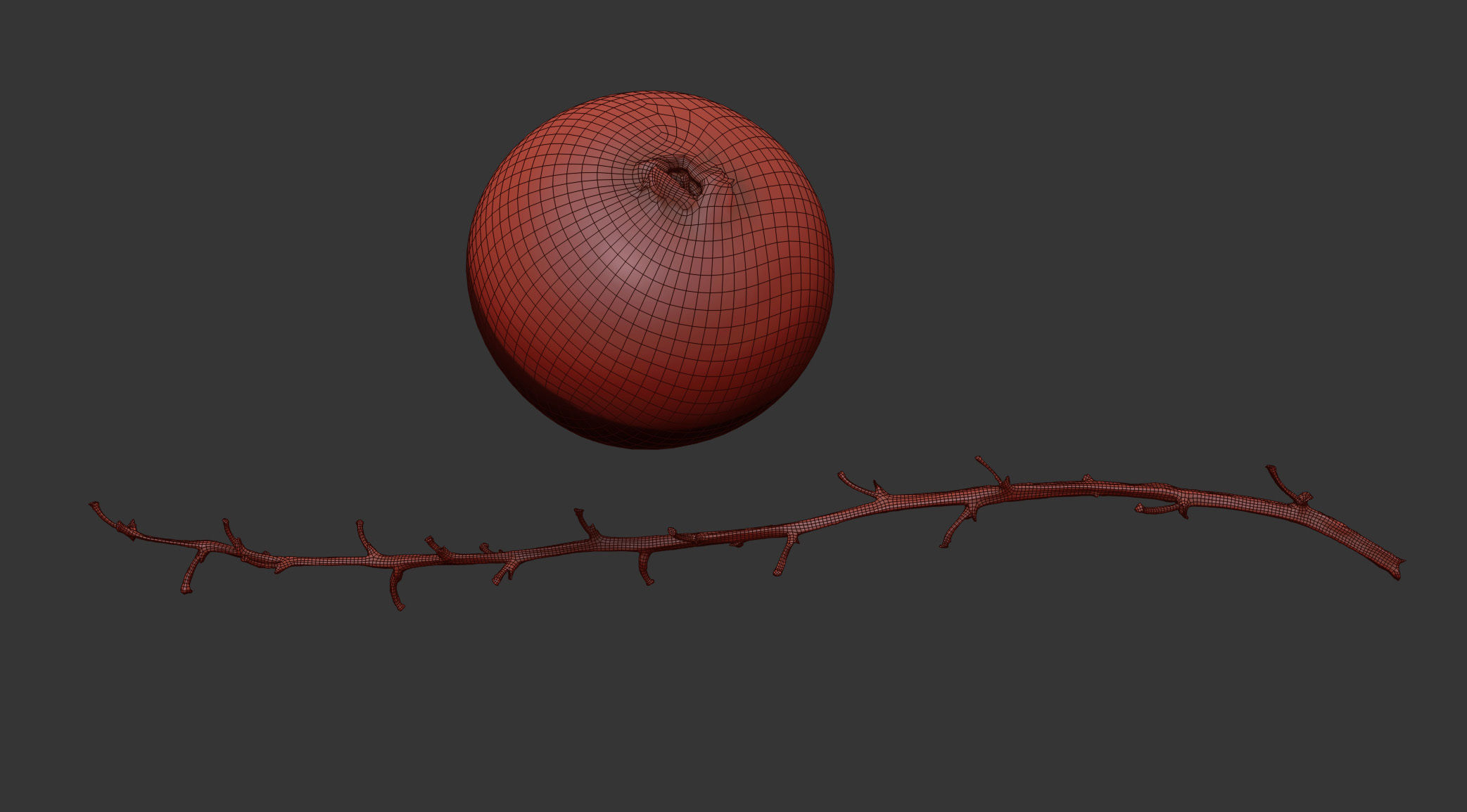 Currant 3D model_6