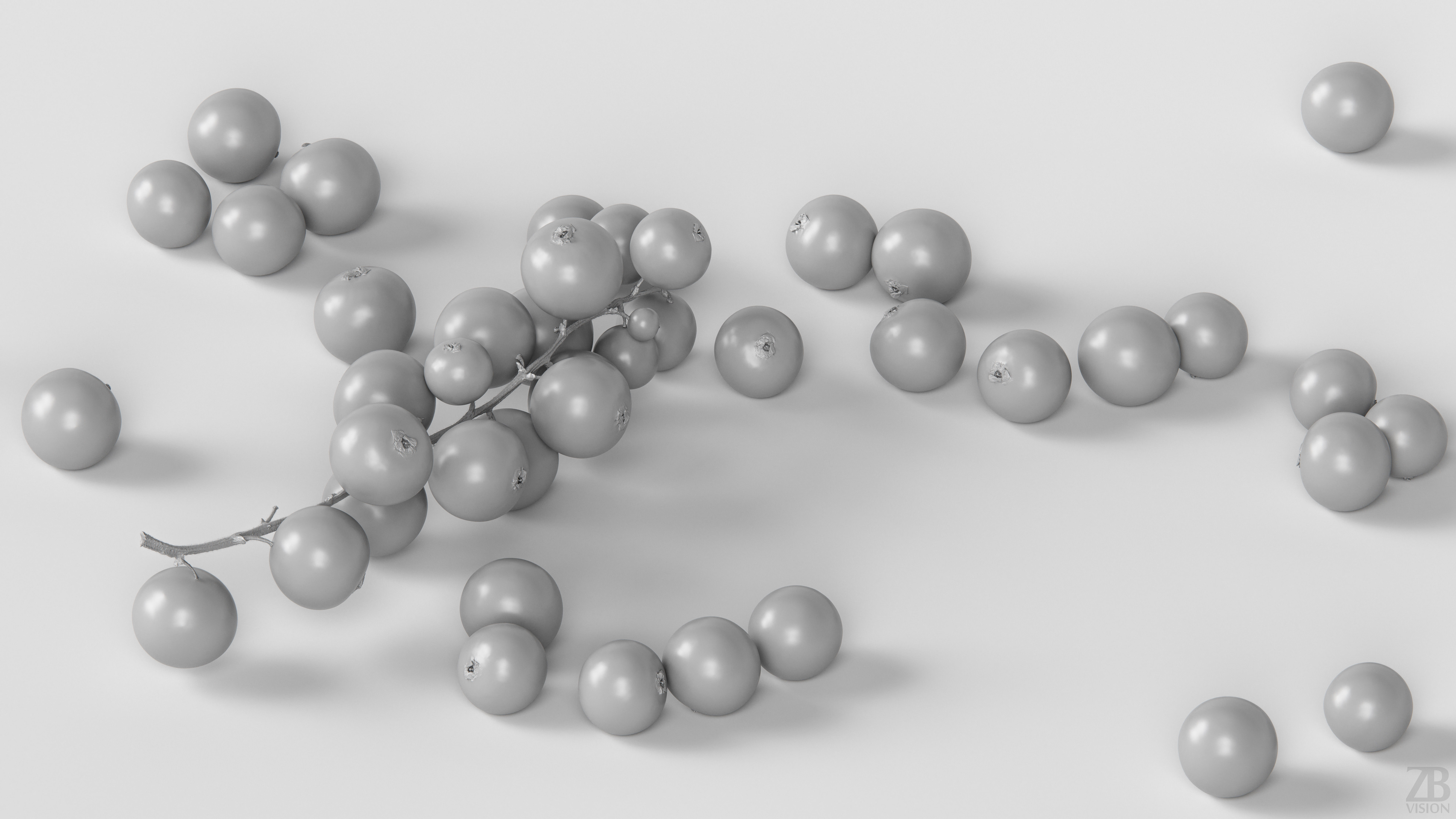 Currant 3D model_3