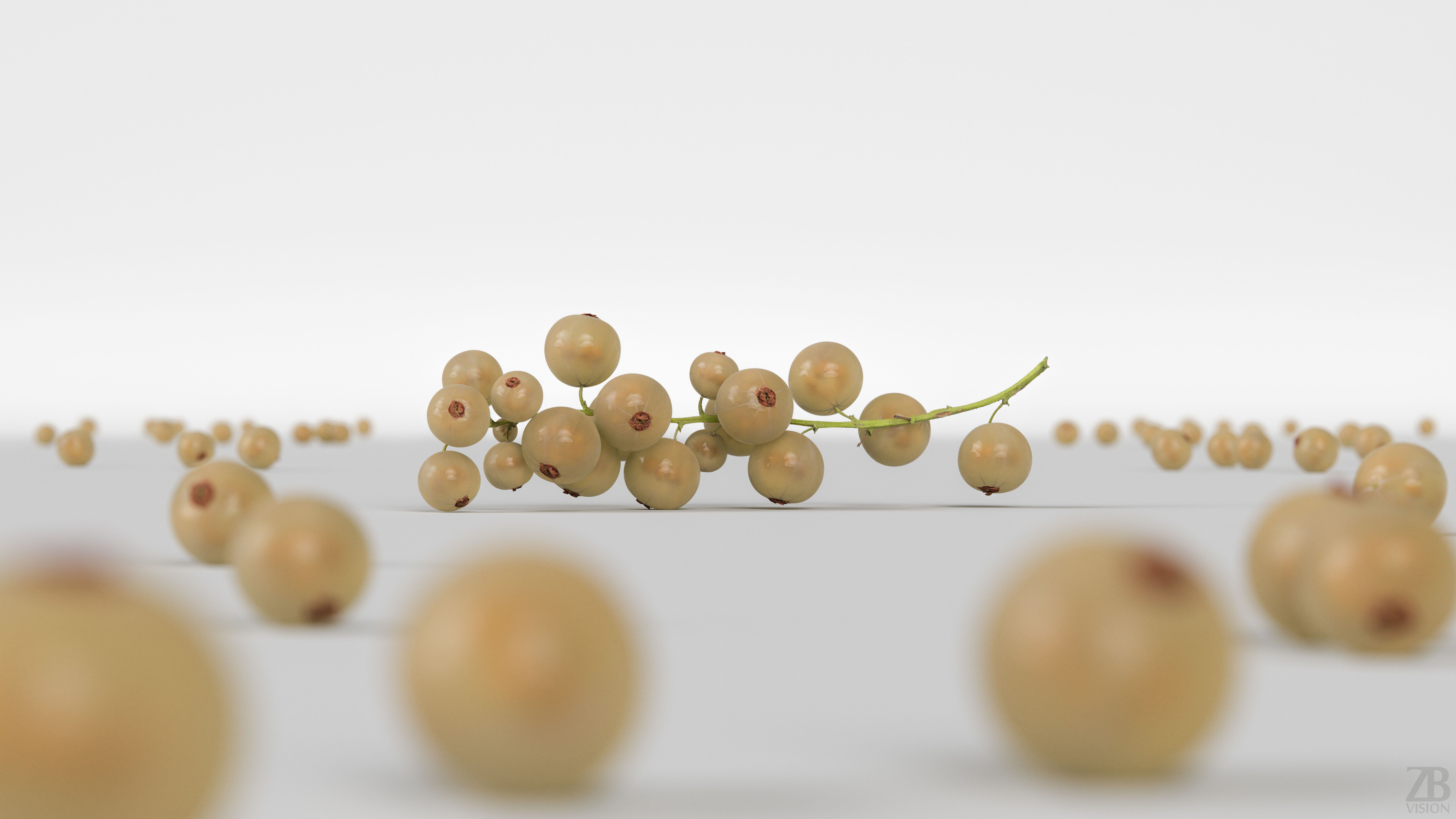 Currant 3D model_1