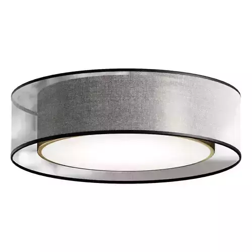 Ceiling lamp Freya Zoticus FR6005CL L36G