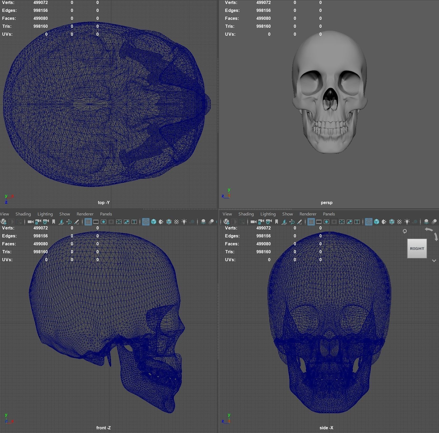 Scull 3D print model_3