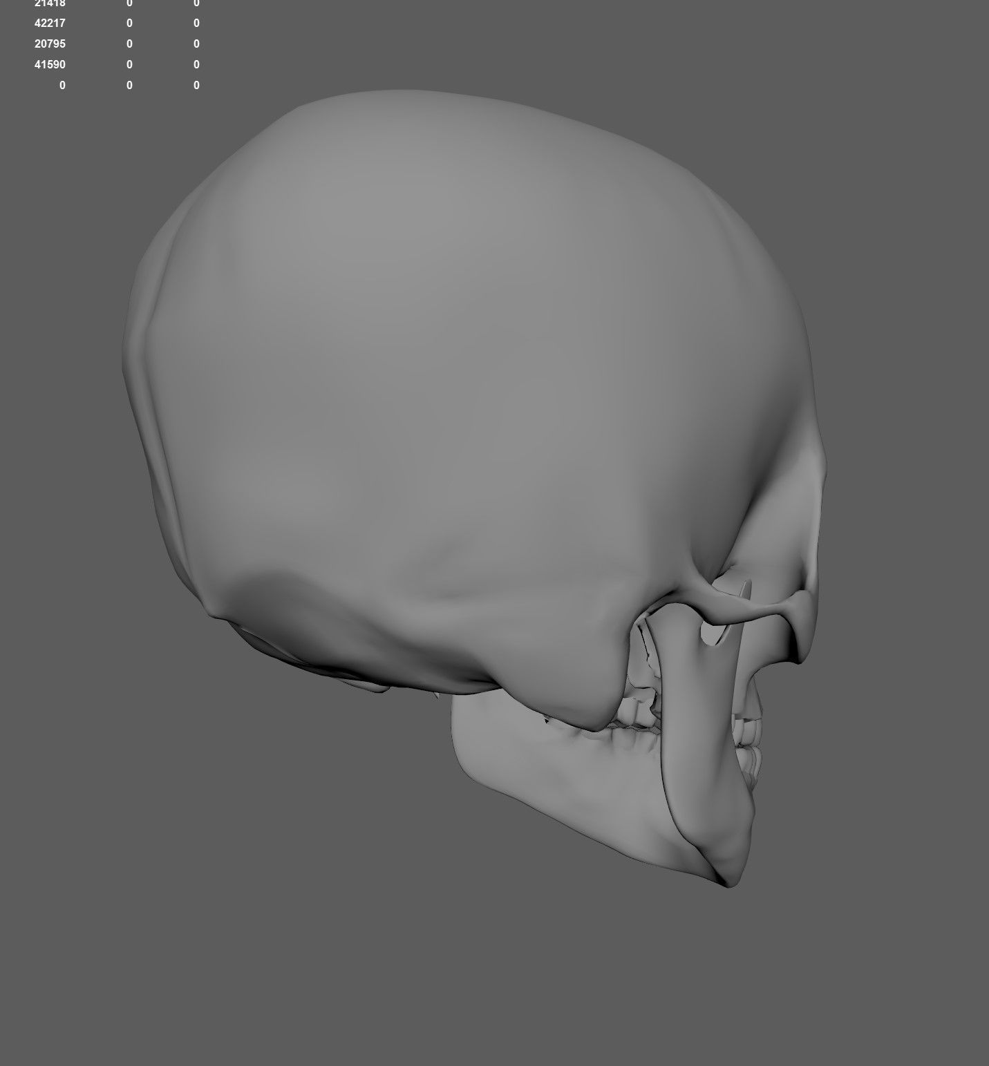 Scull 3D print model_7