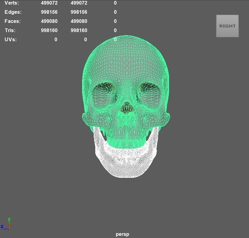 Scull 3D print model_12