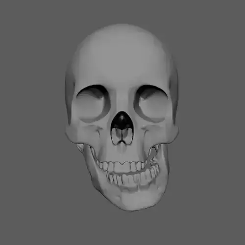 Scull 3D print model