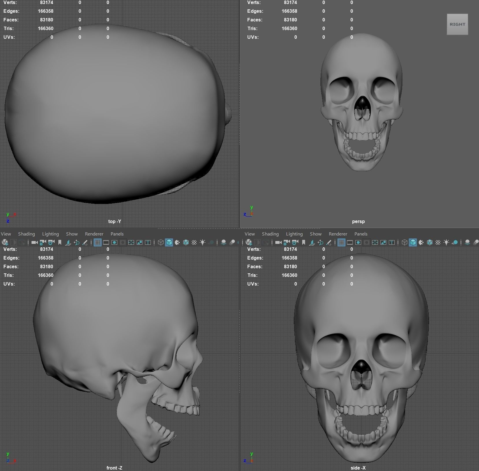 Scull 3D print model_11