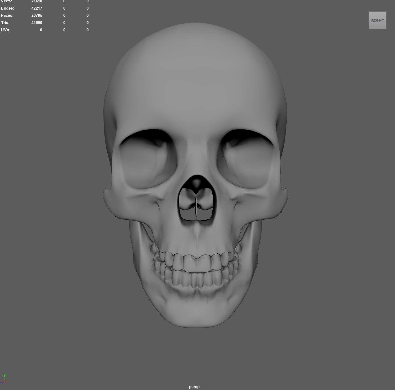 Scull 3D print model_1