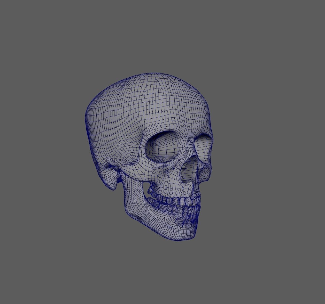 Scull 3D print model_10