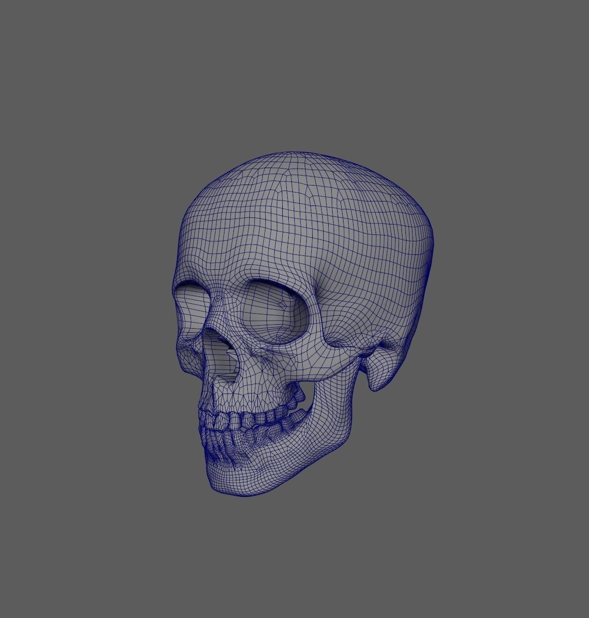 Scull 3D print model_9