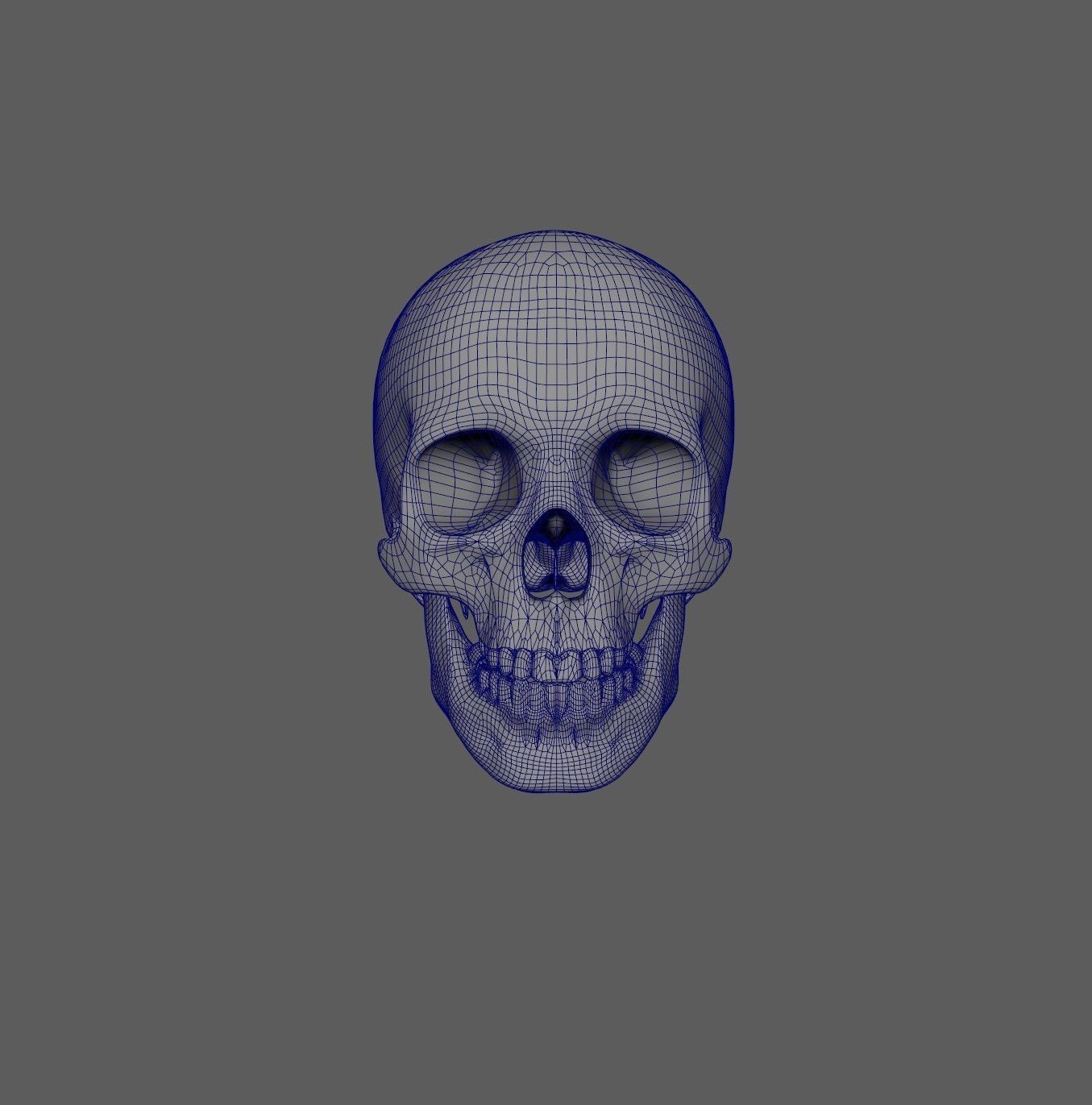 Scull 3D print model_4