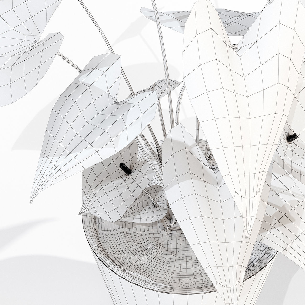 Anthurium flower 003 3D model_3