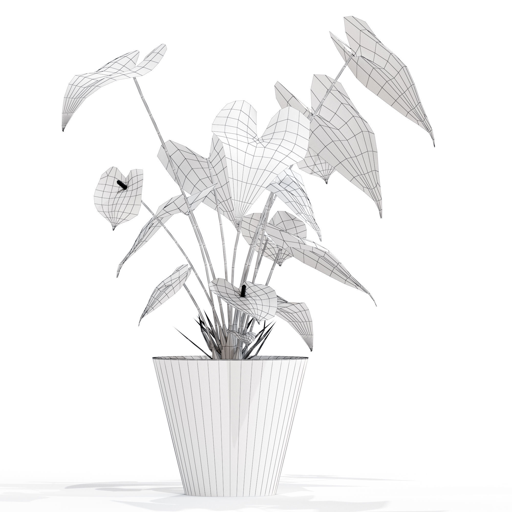 Anthurium flower 003 3D model_2