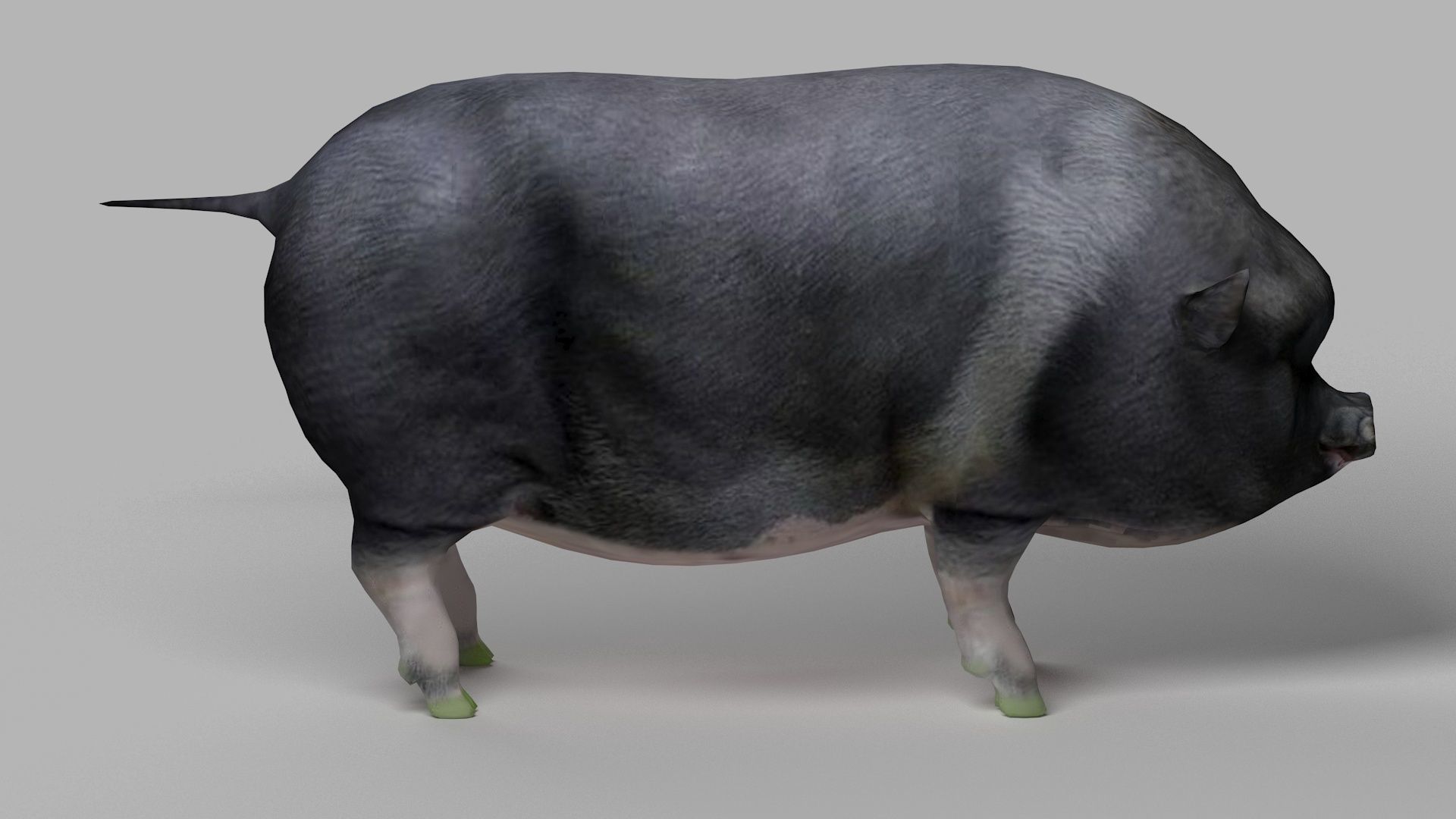 pig meat pork bacon pigletshoat swinedomestic 3D model_1