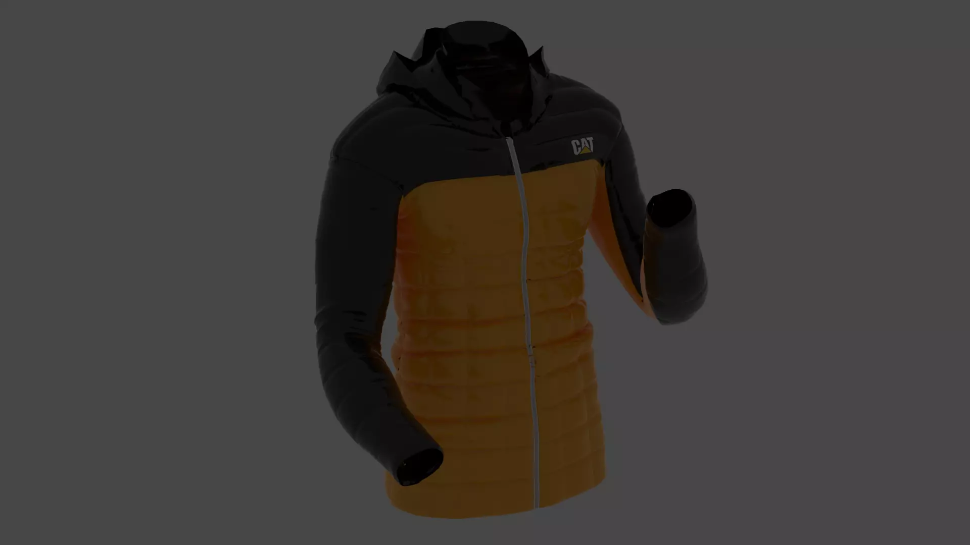 JACKET-CAT Low-poly 3D model
