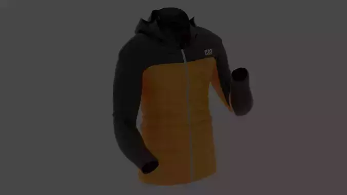 JACKET-CAT Low-poly 3D model