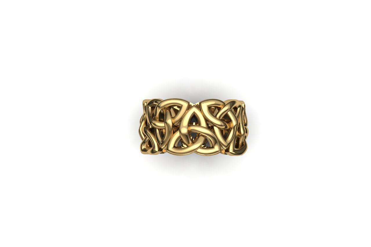Ring 1 3D print model_2