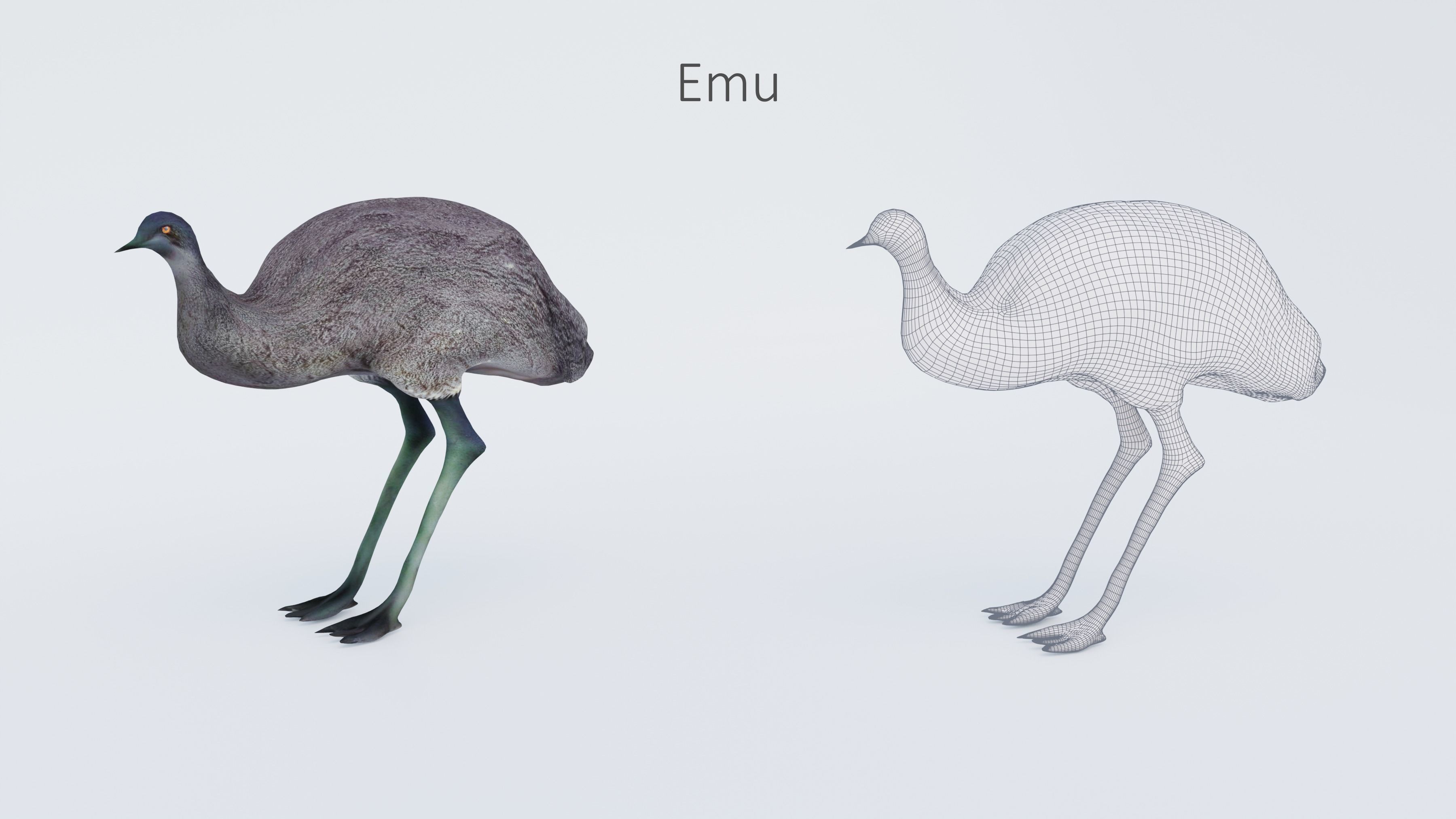 102 Animals Ultimate Collection 3D model_80