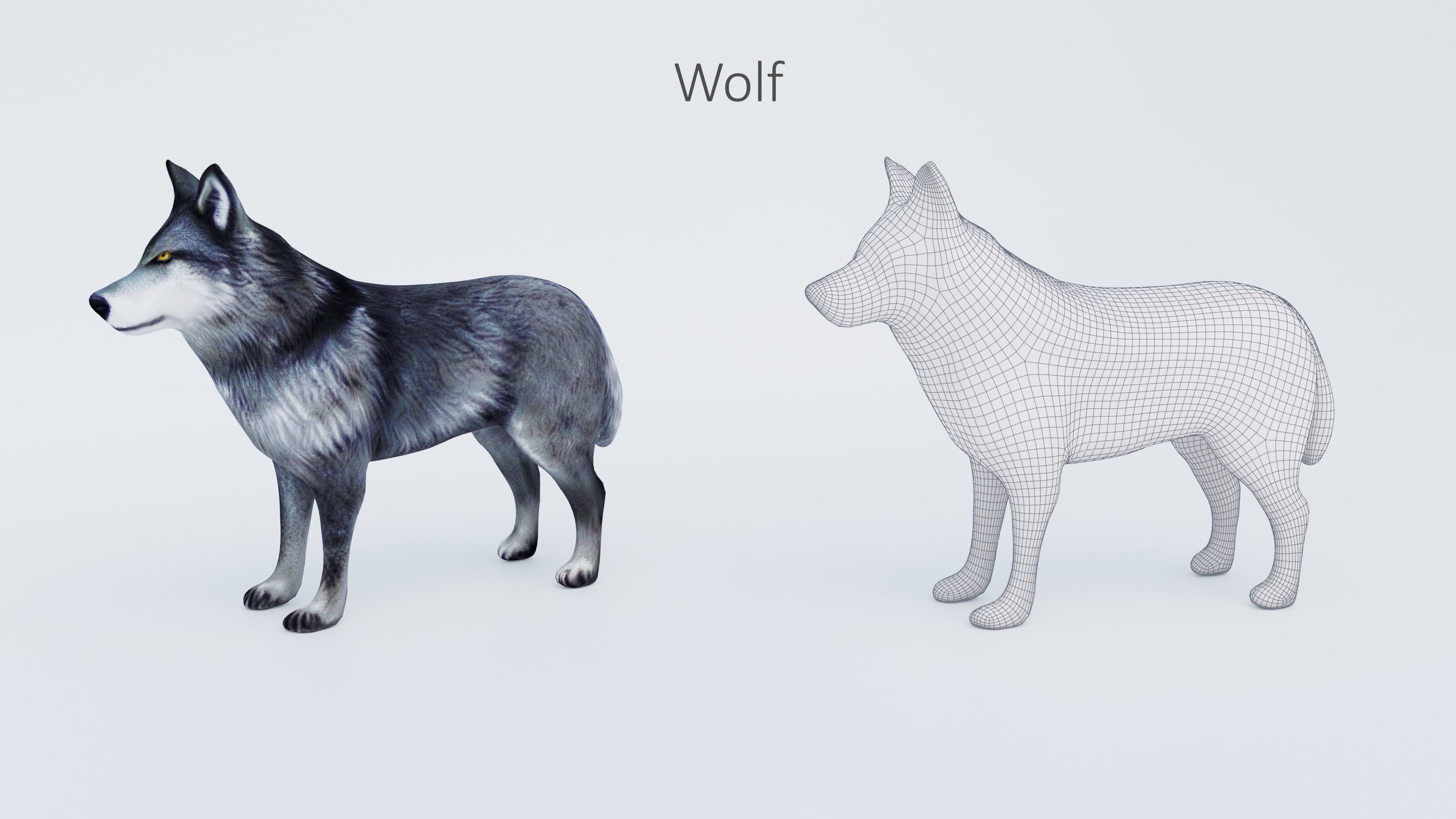 102 Animals Ultimate Collection 3D model_49