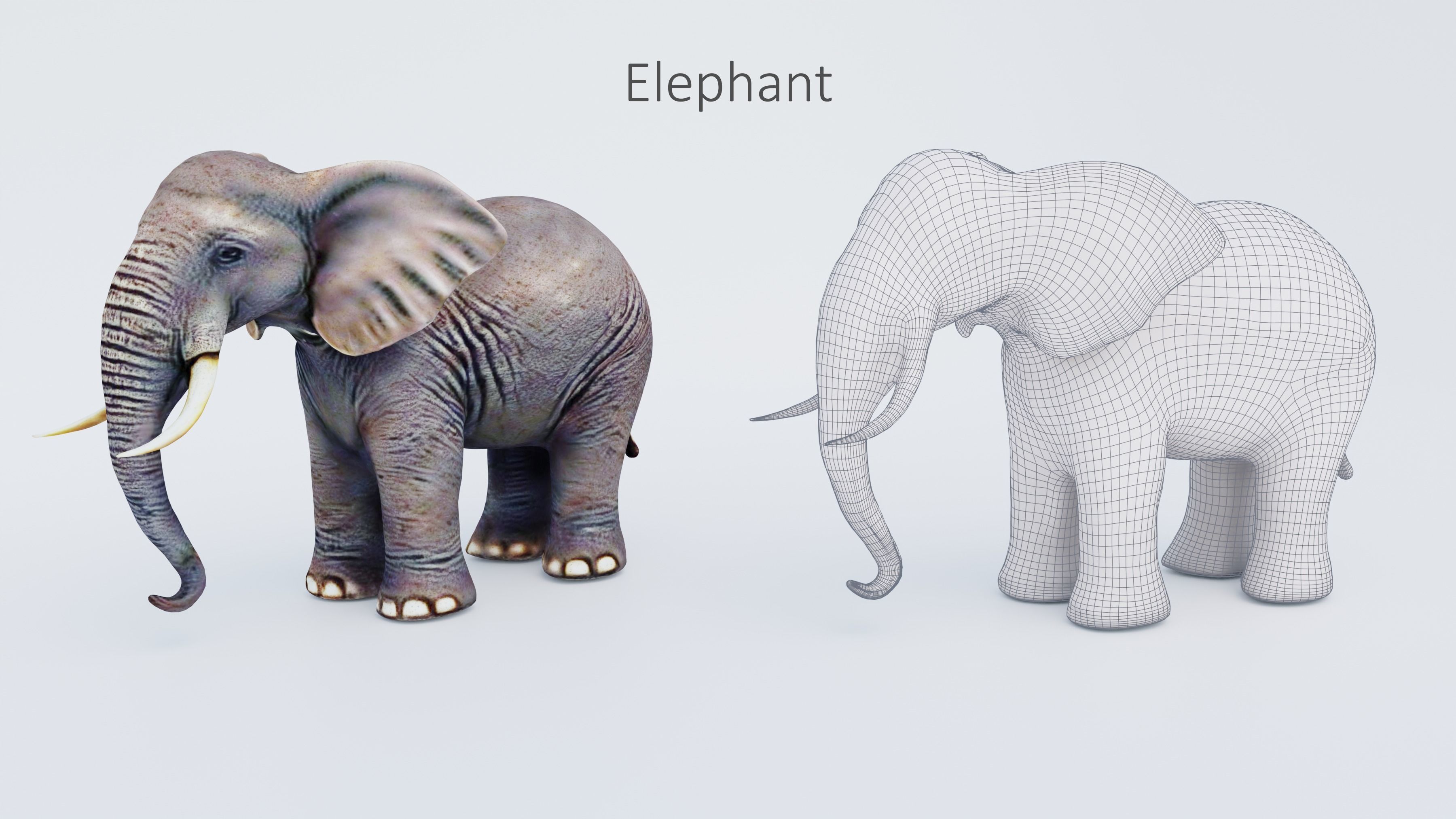 102 Animals Ultimate Collection 3D model_26