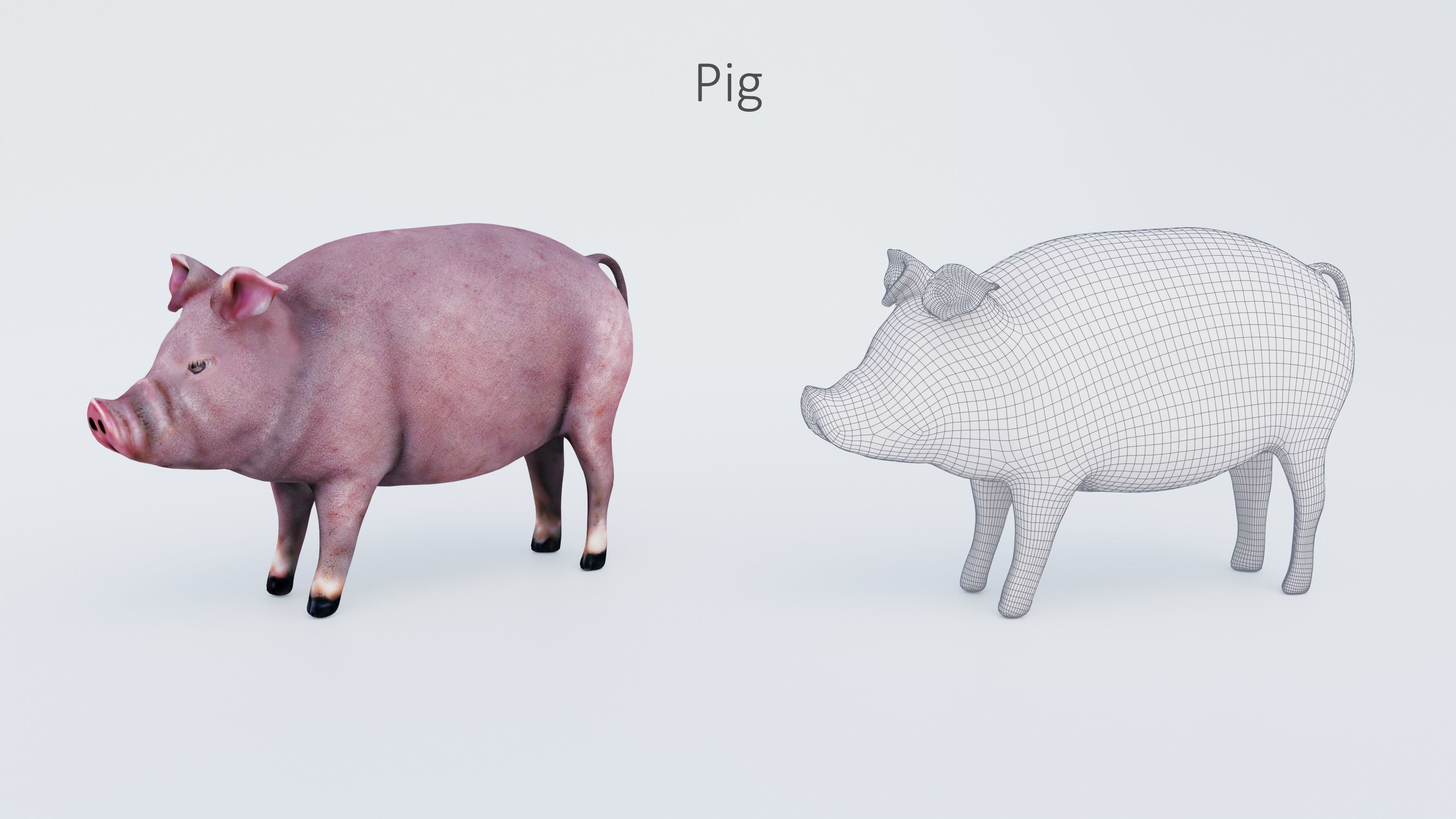 102 Animals Ultimate Collection 3D model_15