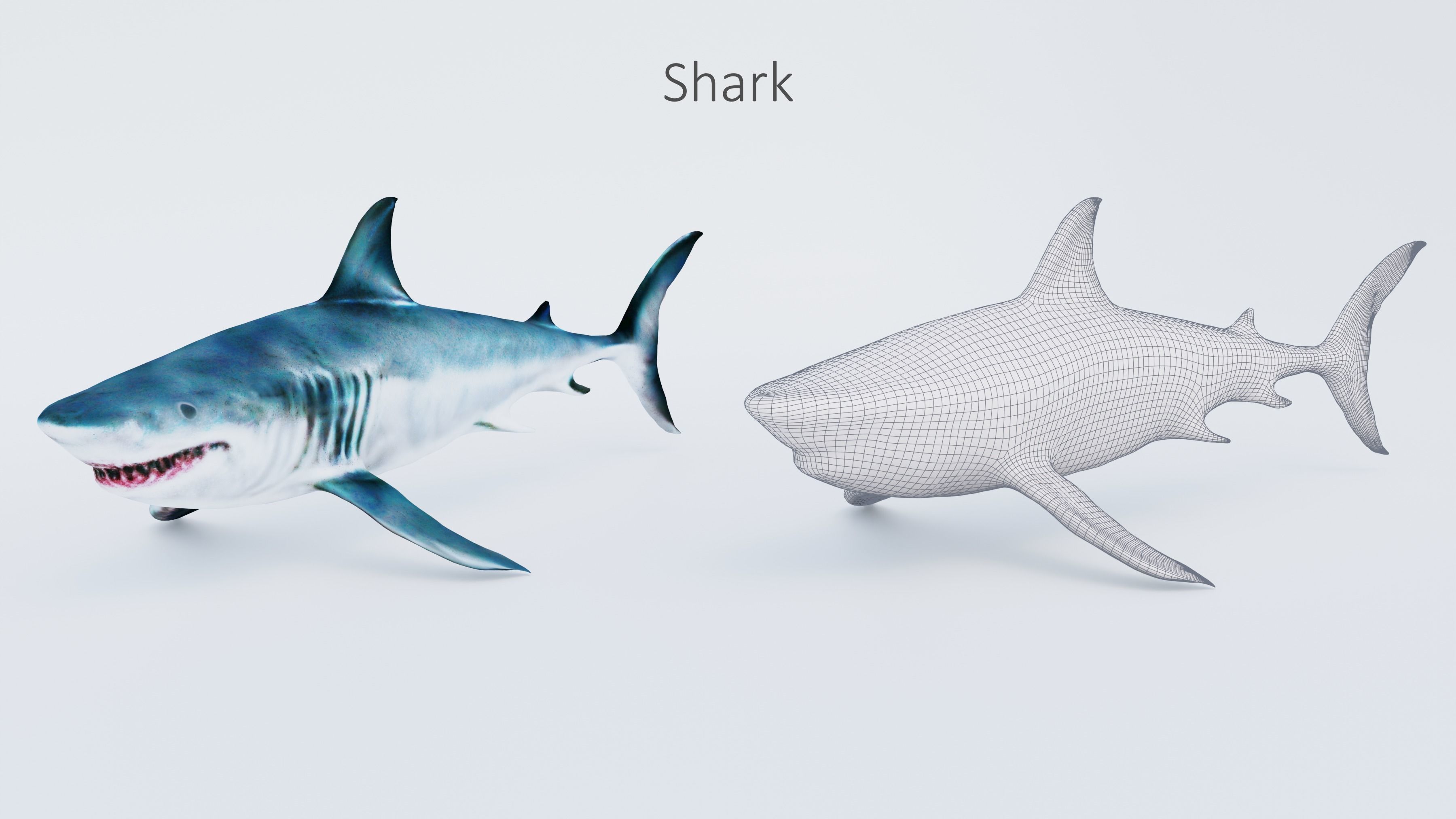 102 Animals Ultimate Collection 3D model_73