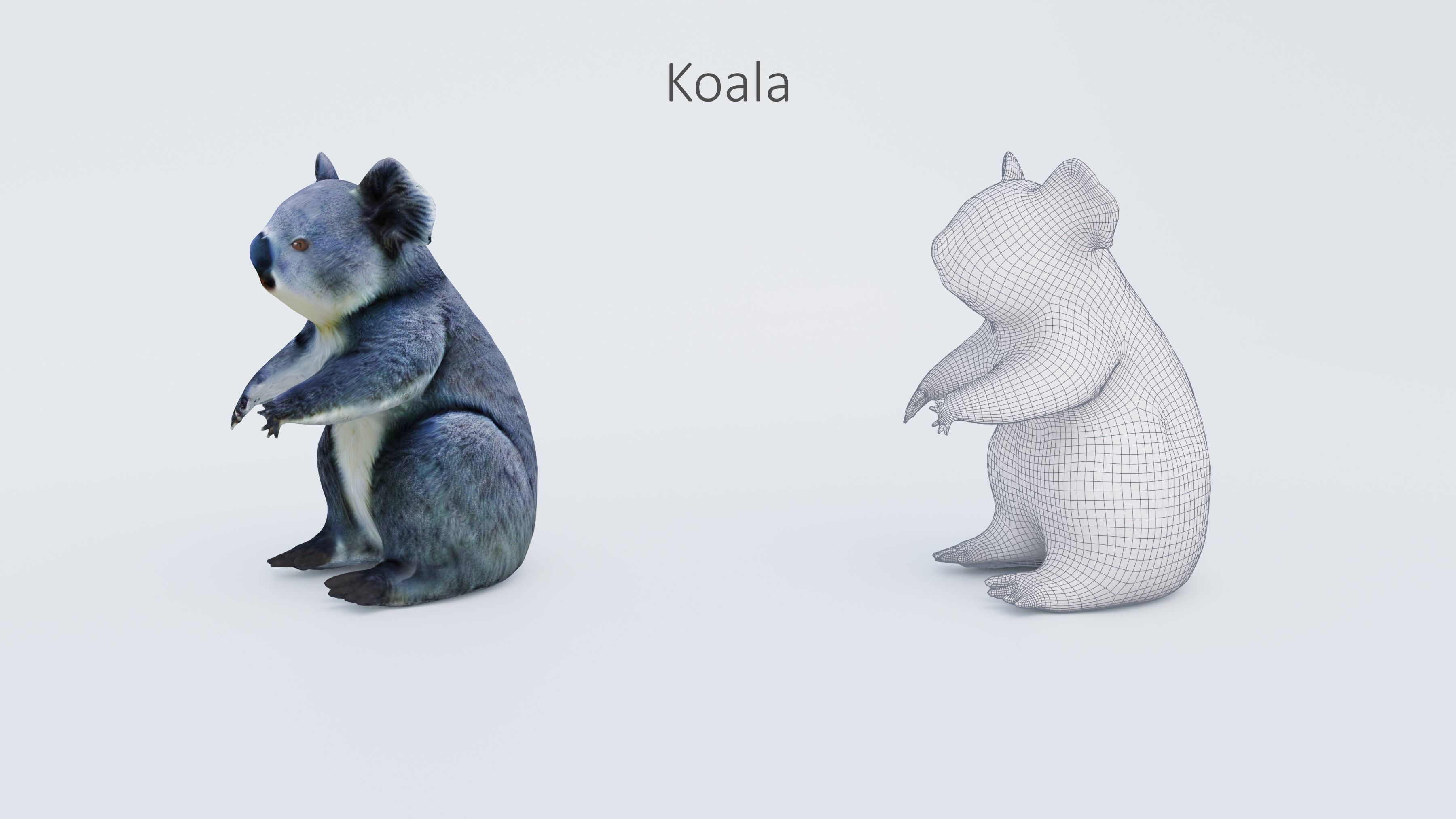 102 Animals Ultimate Collection 3D model_39