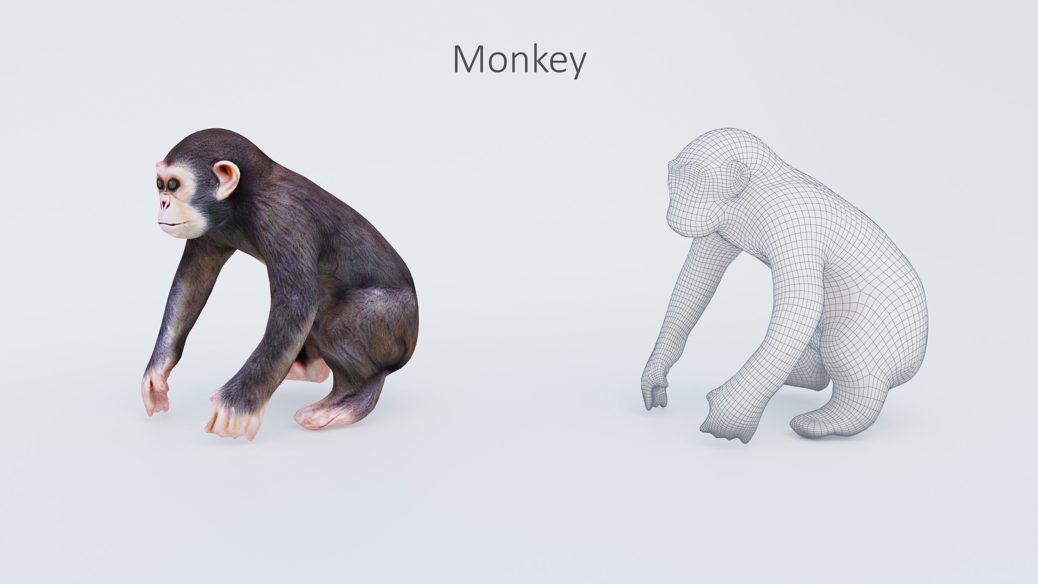 102 Animals Ultimate Collection 3D model_41