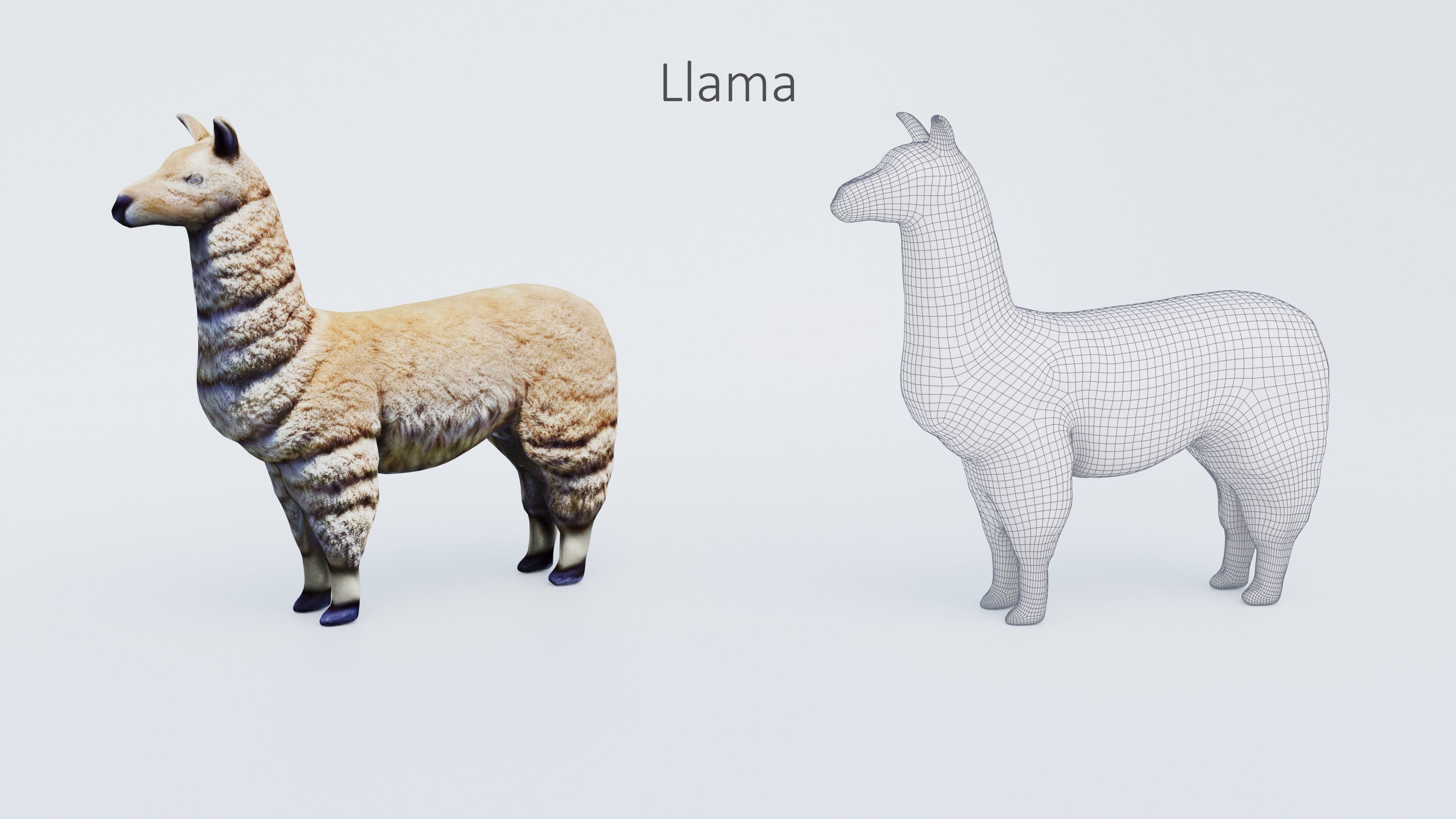 102 Animals Ultimate Collection 3D model_51