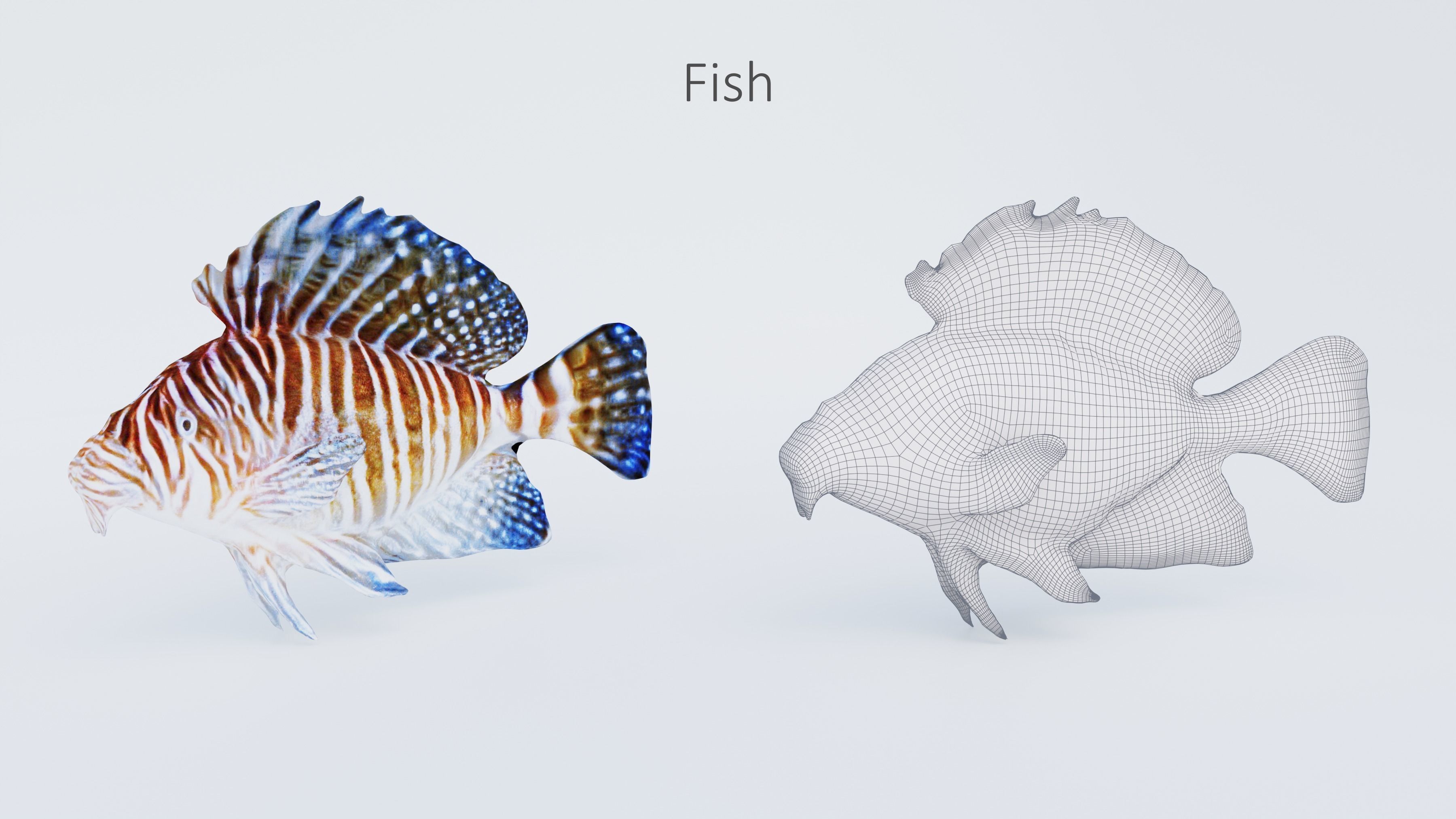 102 Animals Ultimate Collection 3D model_63