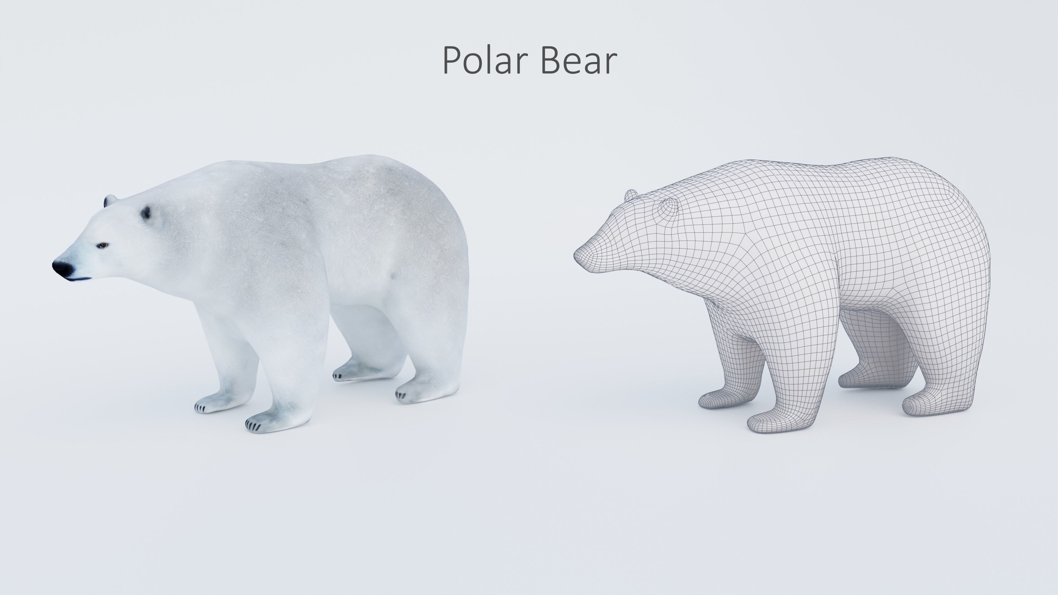 102 Animals Ultimate Collection 3D model_53