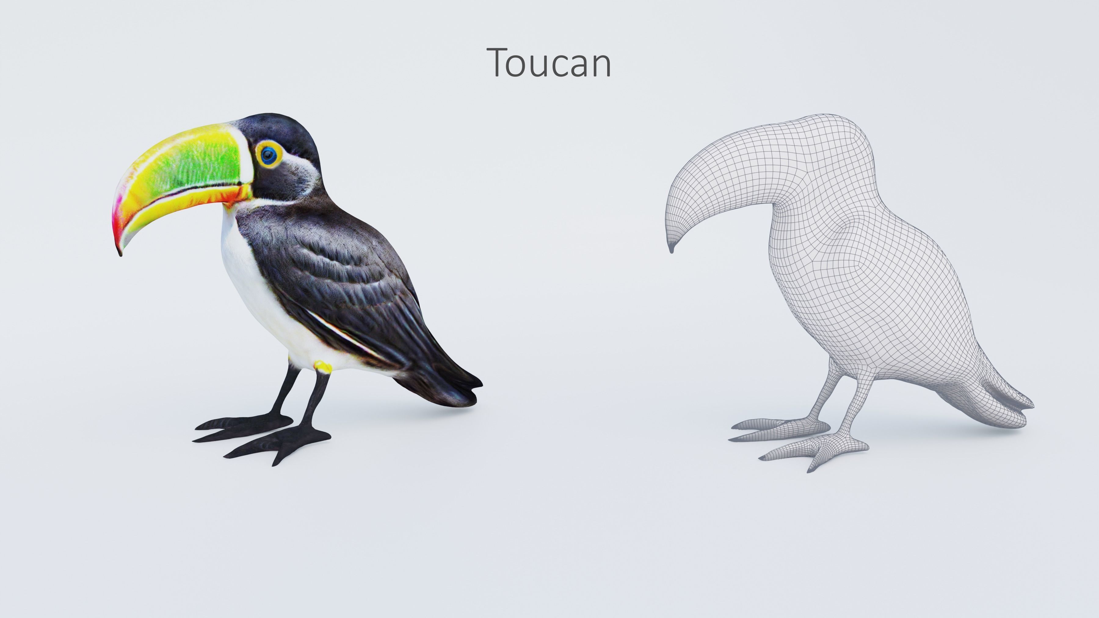 102 Animals Ultimate Collection 3D model_91