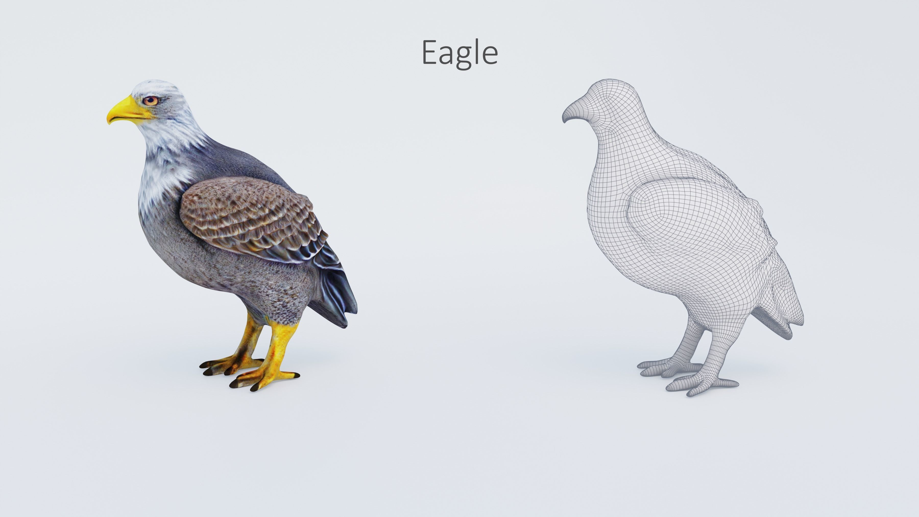 102 Animals Ultimate Collection 3D model_79