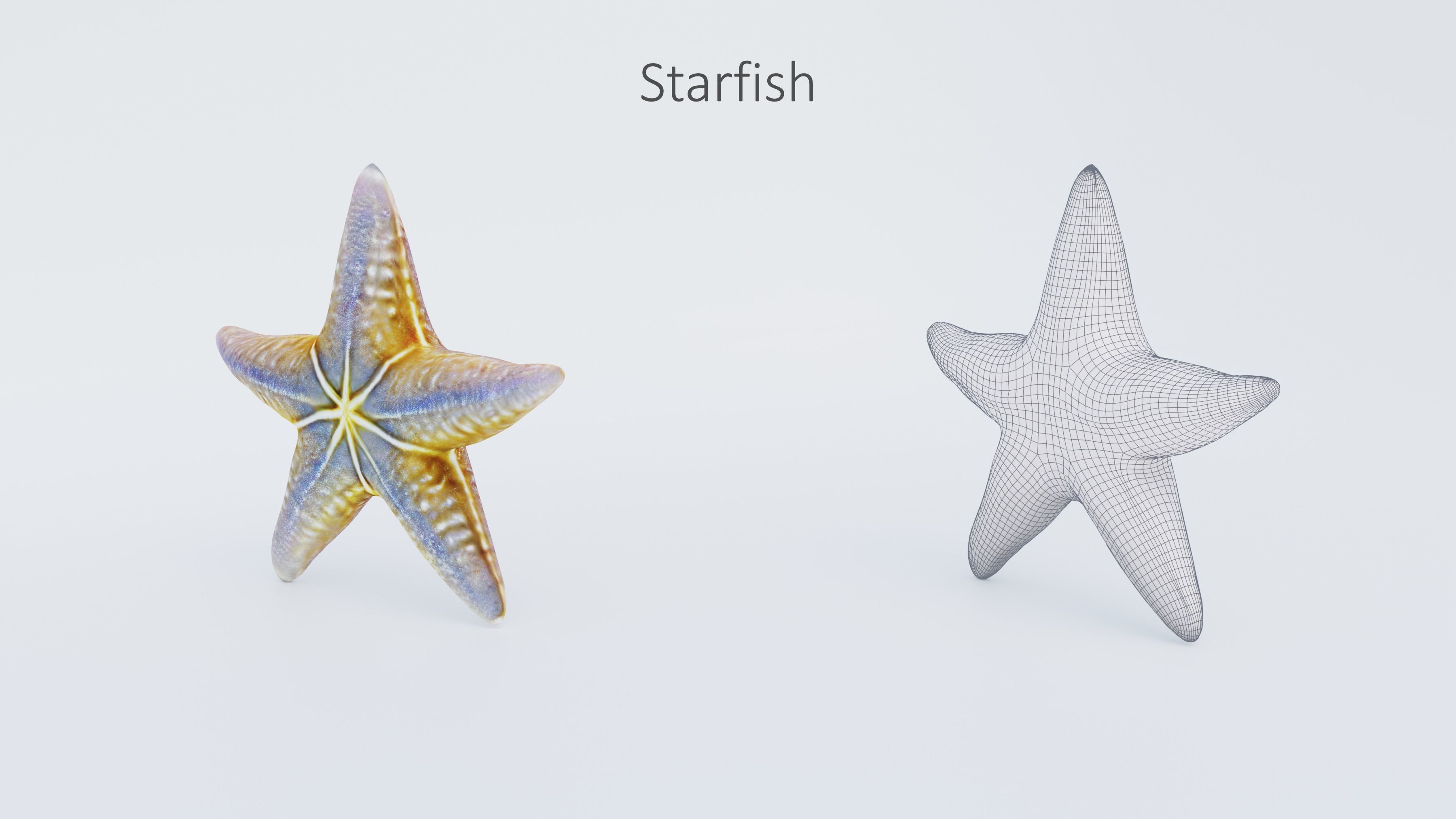 102 Animals Ultimate Collection 3D model_74