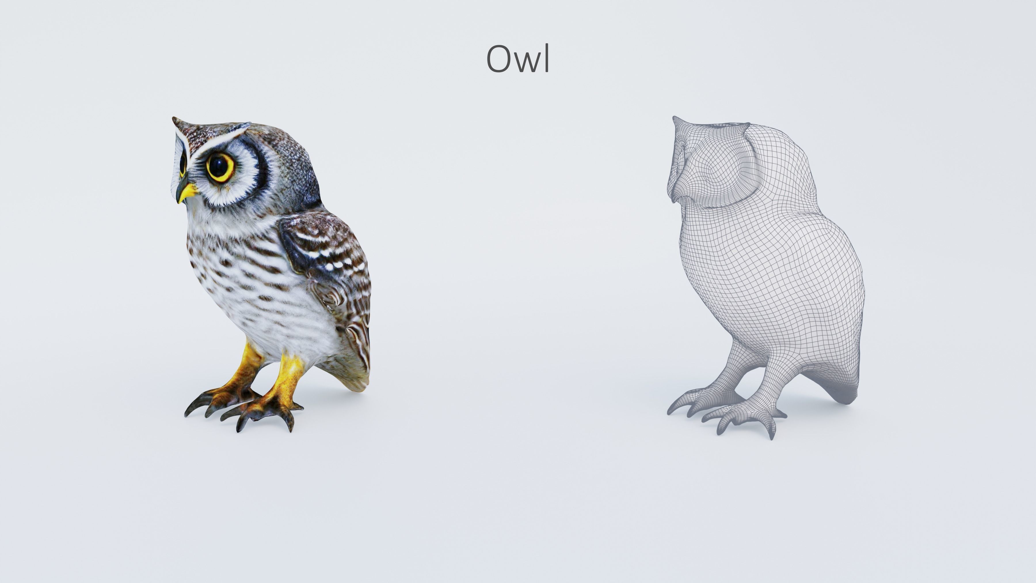 102 Animals Ultimate Collection 3D model_84