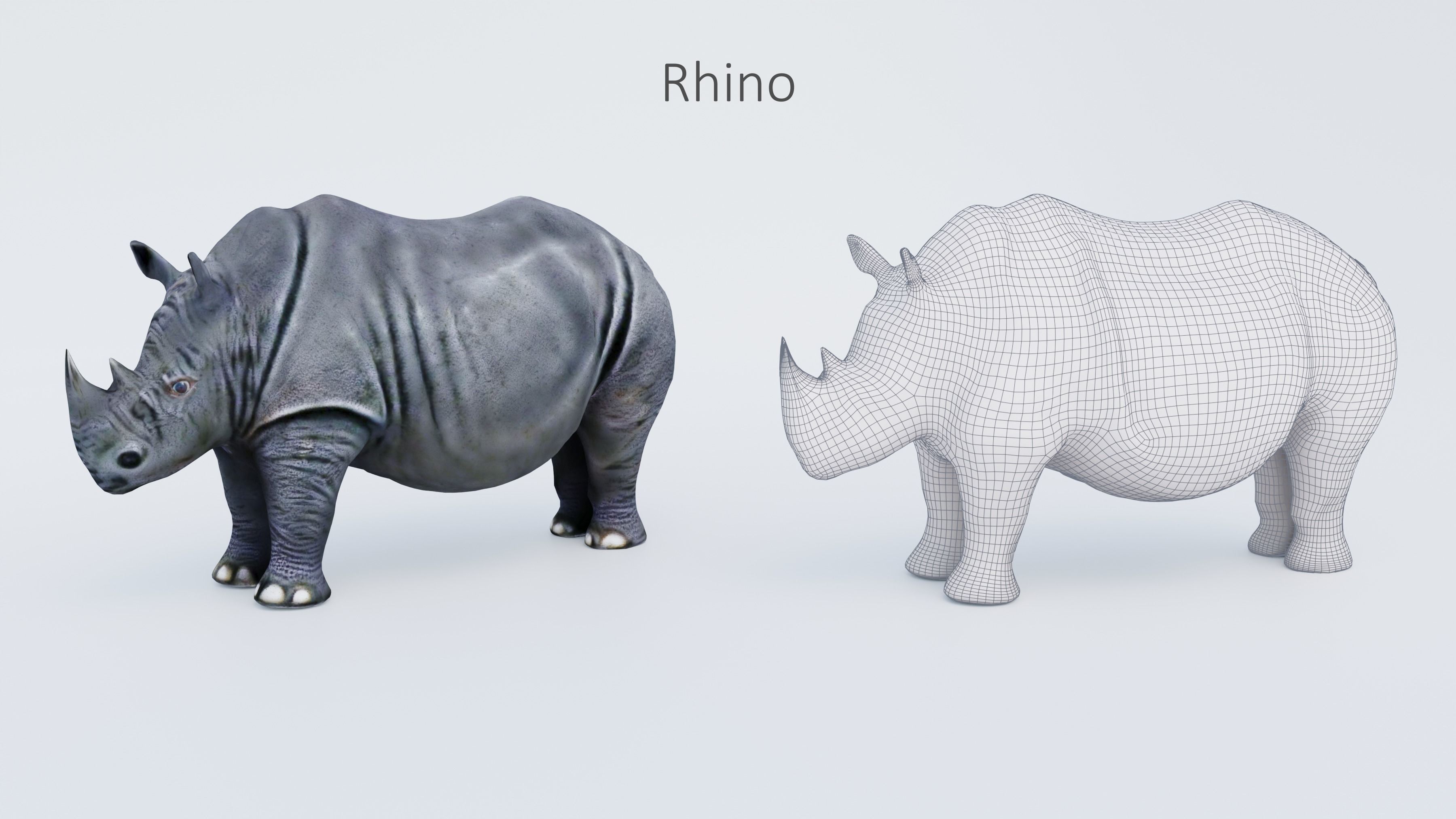 102 Animals Ultimate Collection 3D model_35