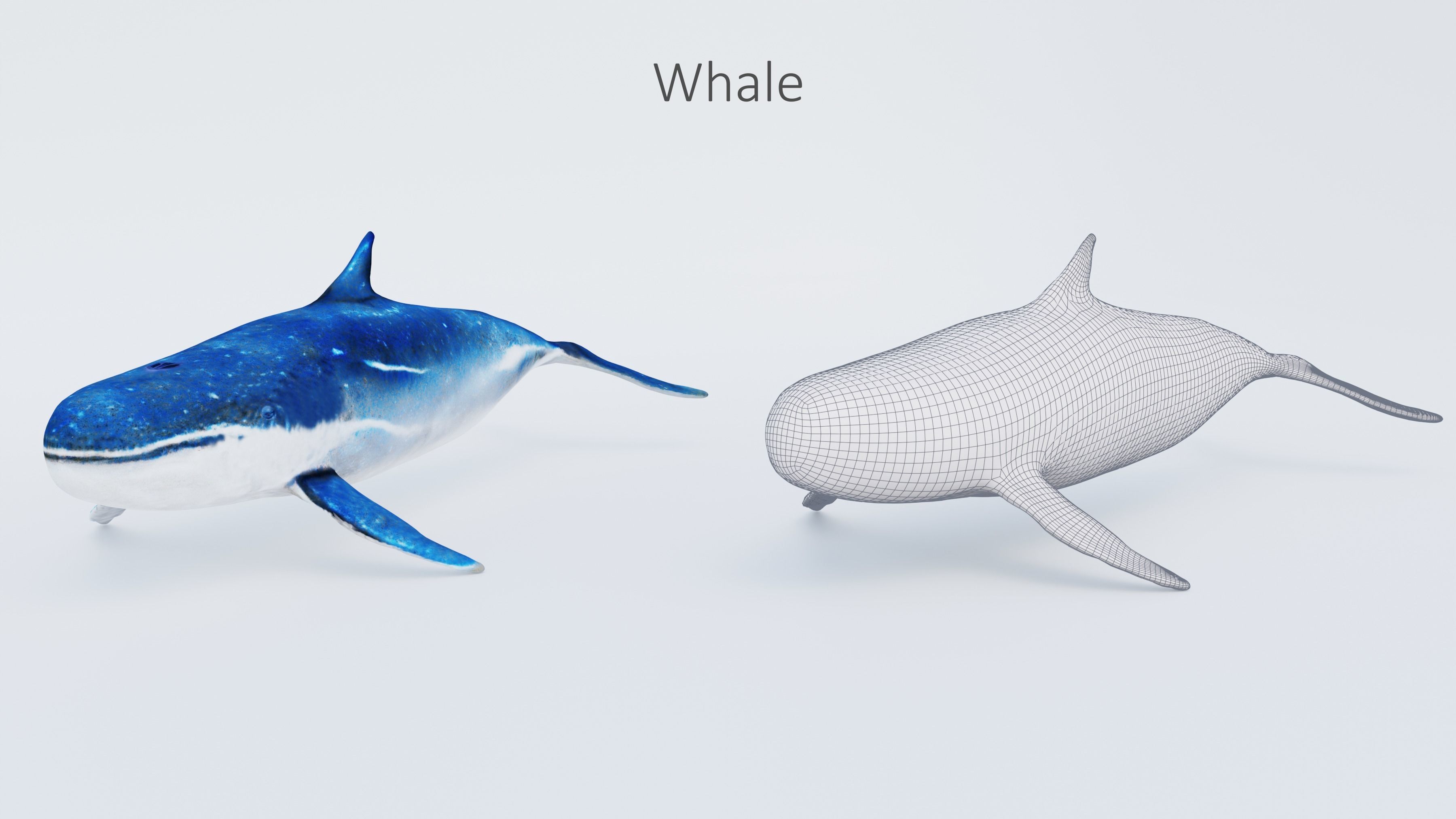 102 Animals Ultimate Collection 3D model_75