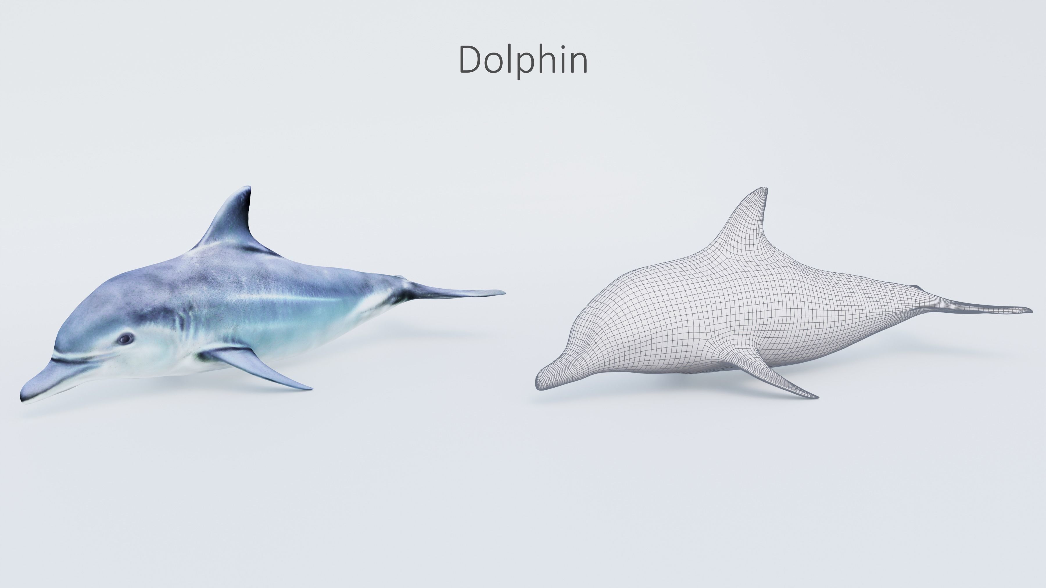 102 Animals Ultimate Collection 3D model_62