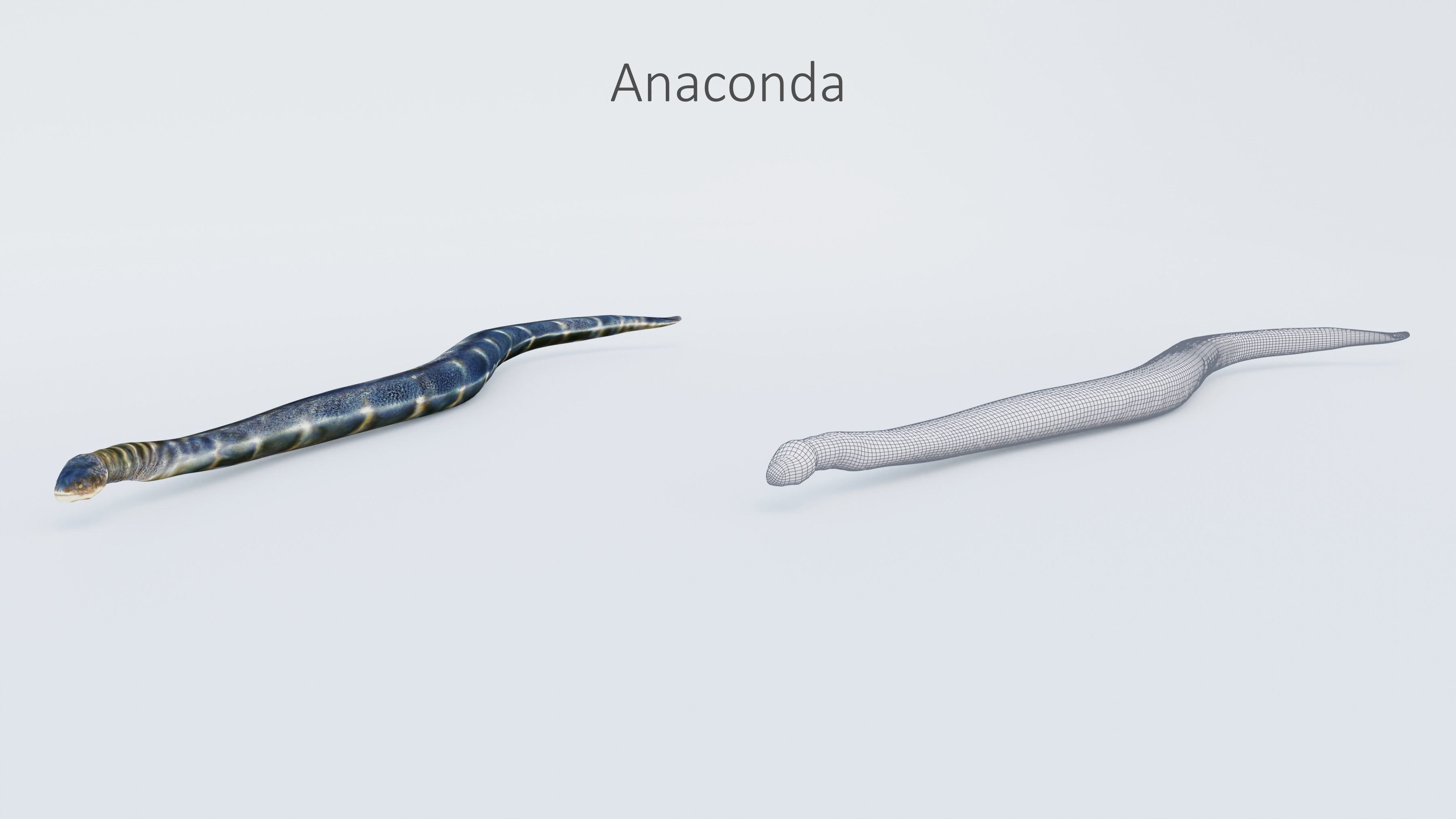 102 Animals Ultimate Collection 3D model_96