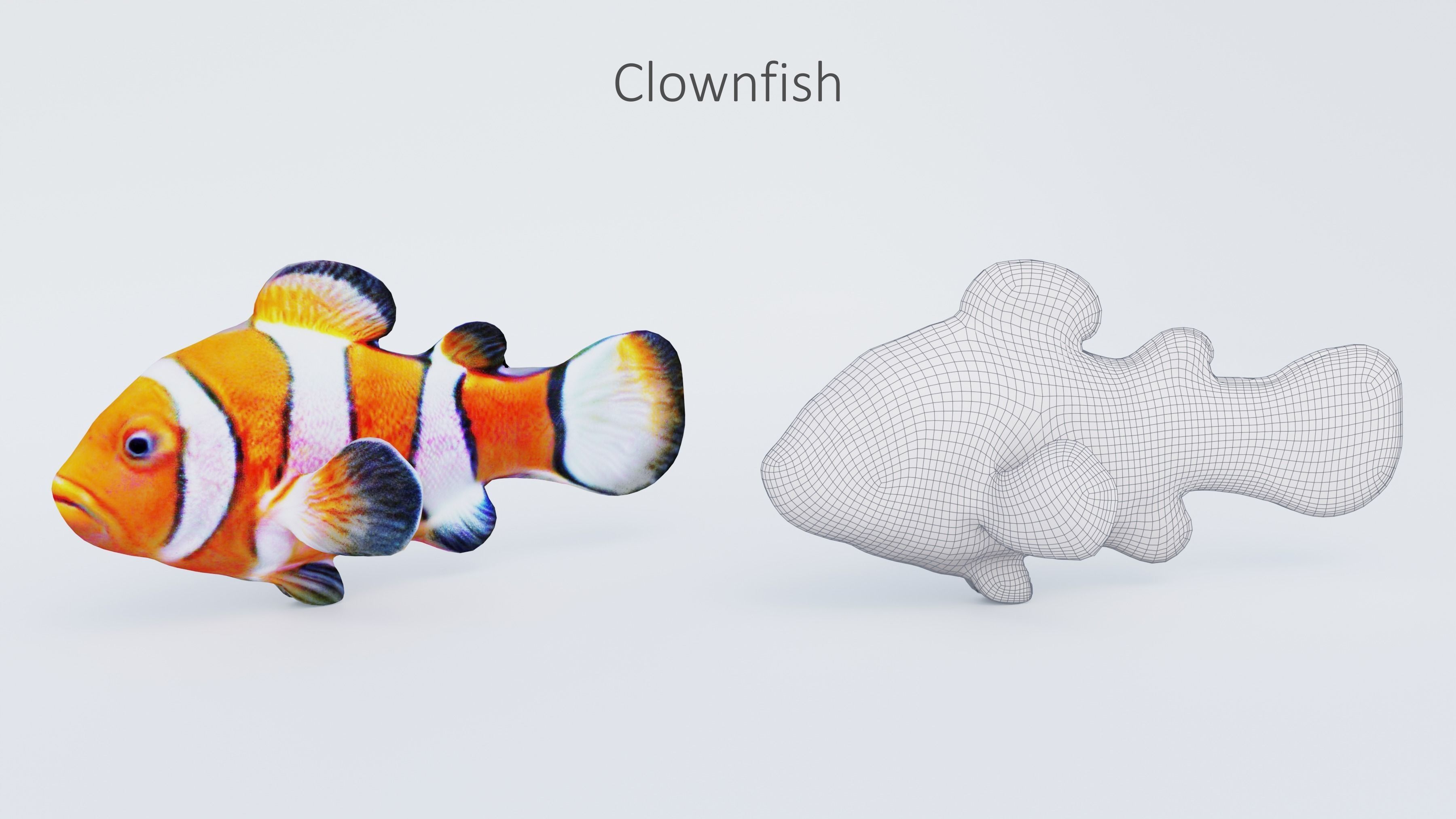 102 Animals Ultimate Collection 3D model_61