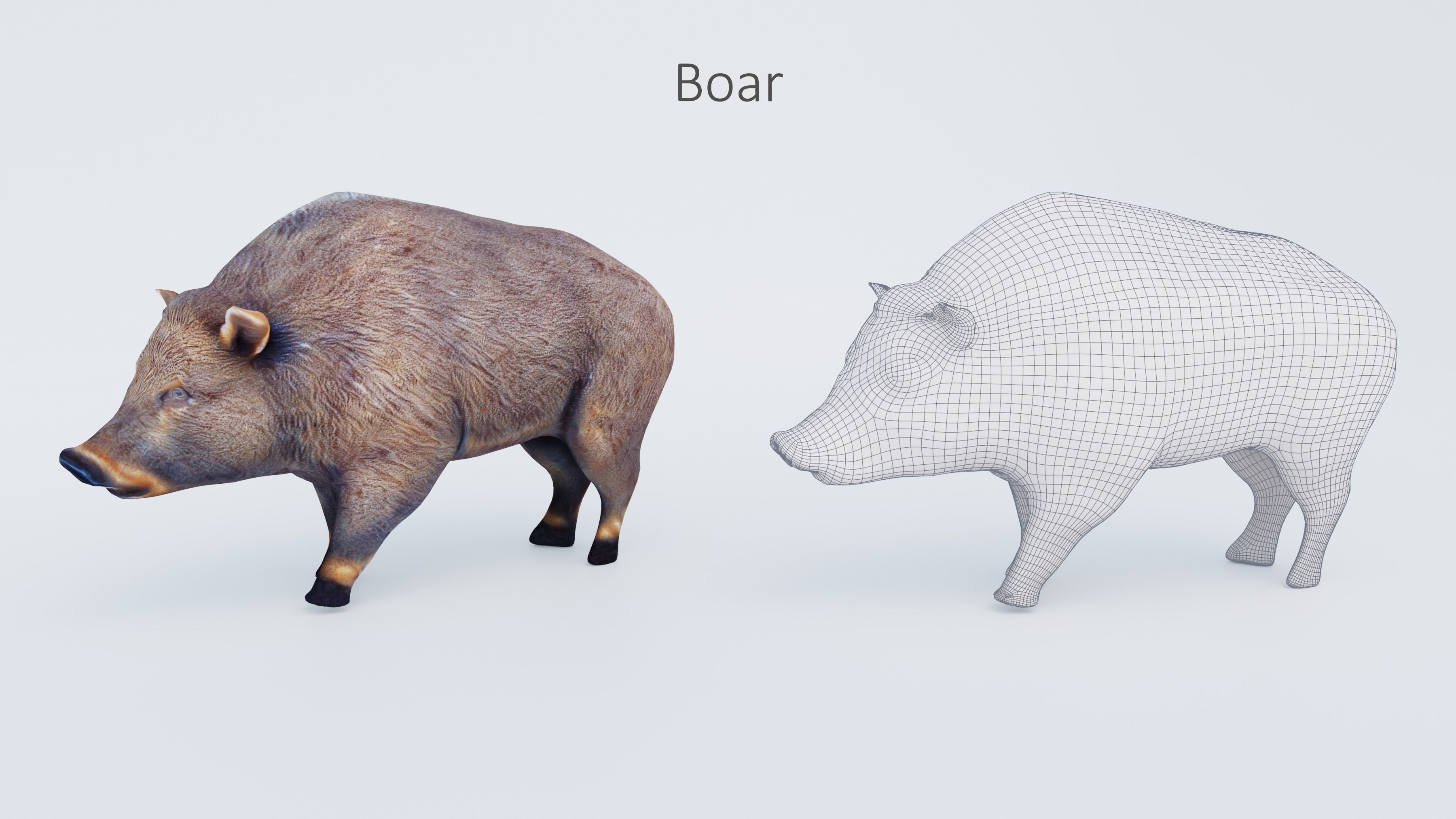 102 Animals Ultimate Collection 3D model_24