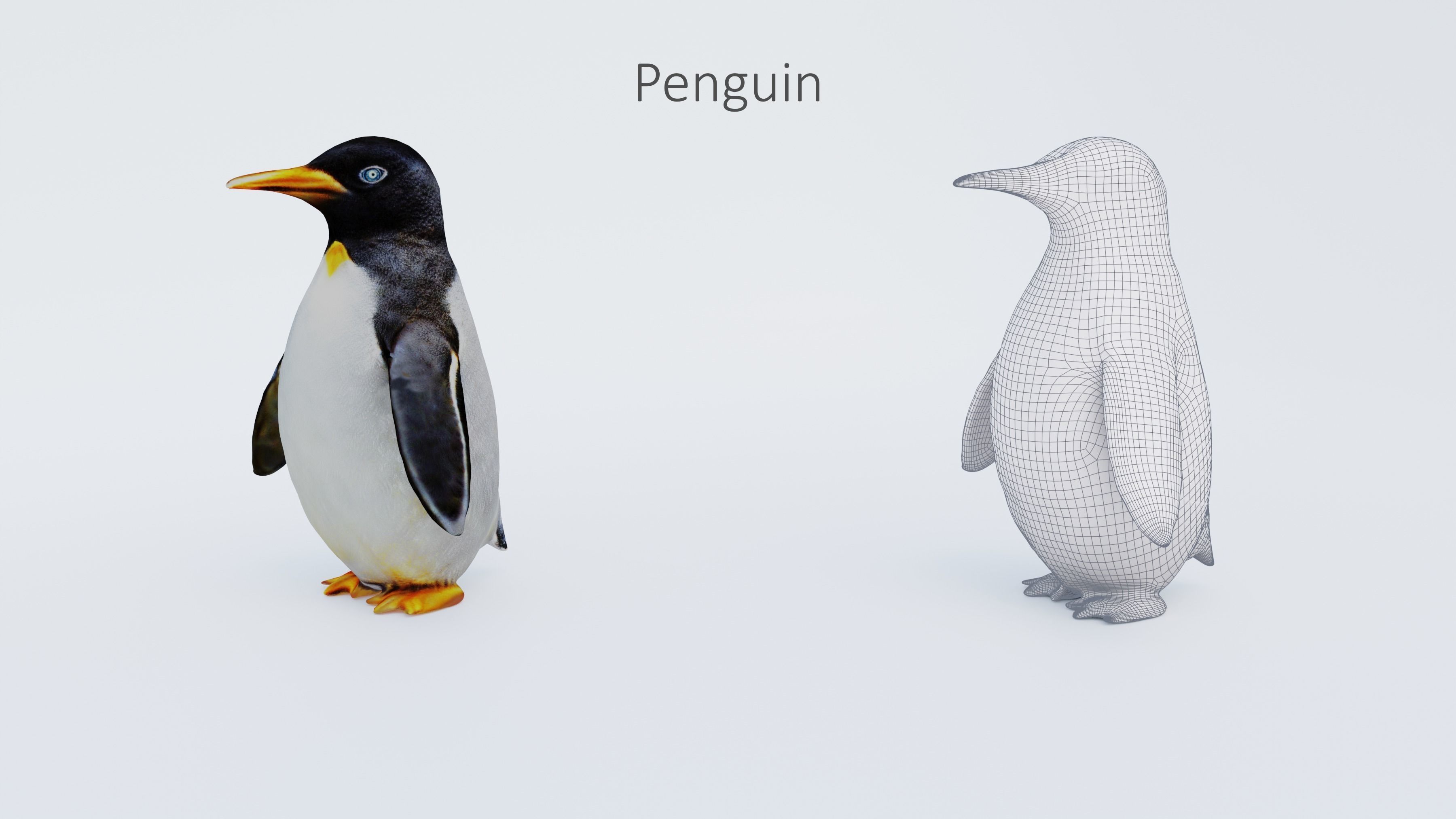 102 Animals Ultimate Collection 3D model_52