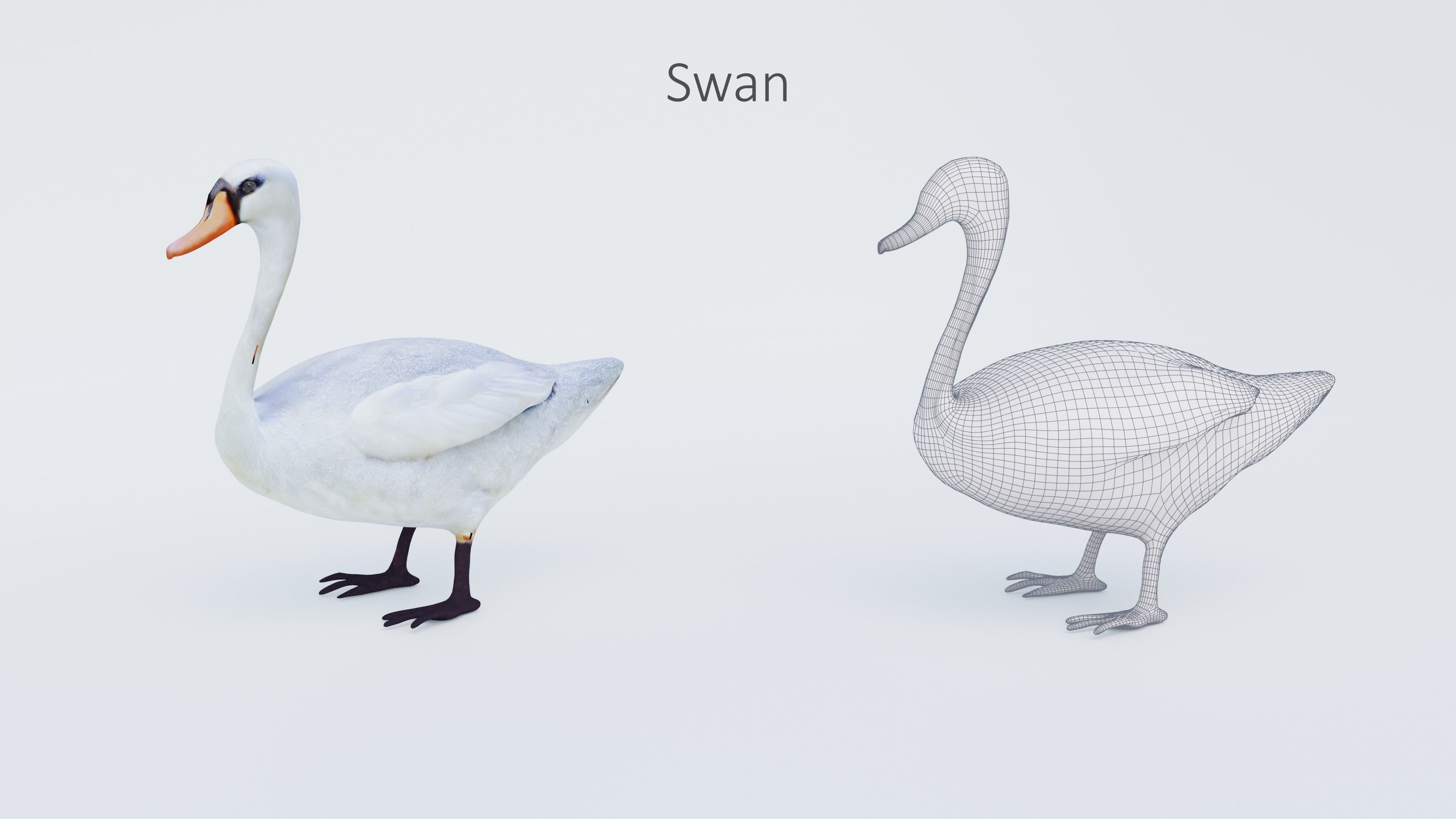 102 Animals Ultimate Collection 3D model_90