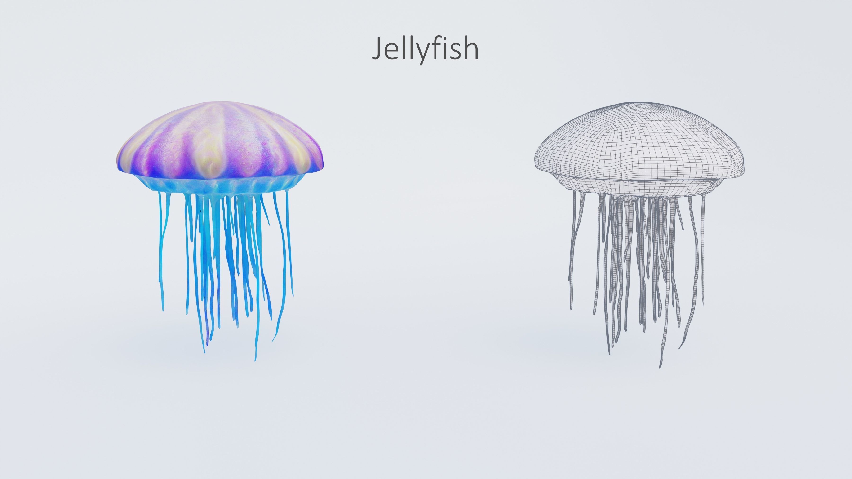 102 Animals Ultimate Collection 3D model_65