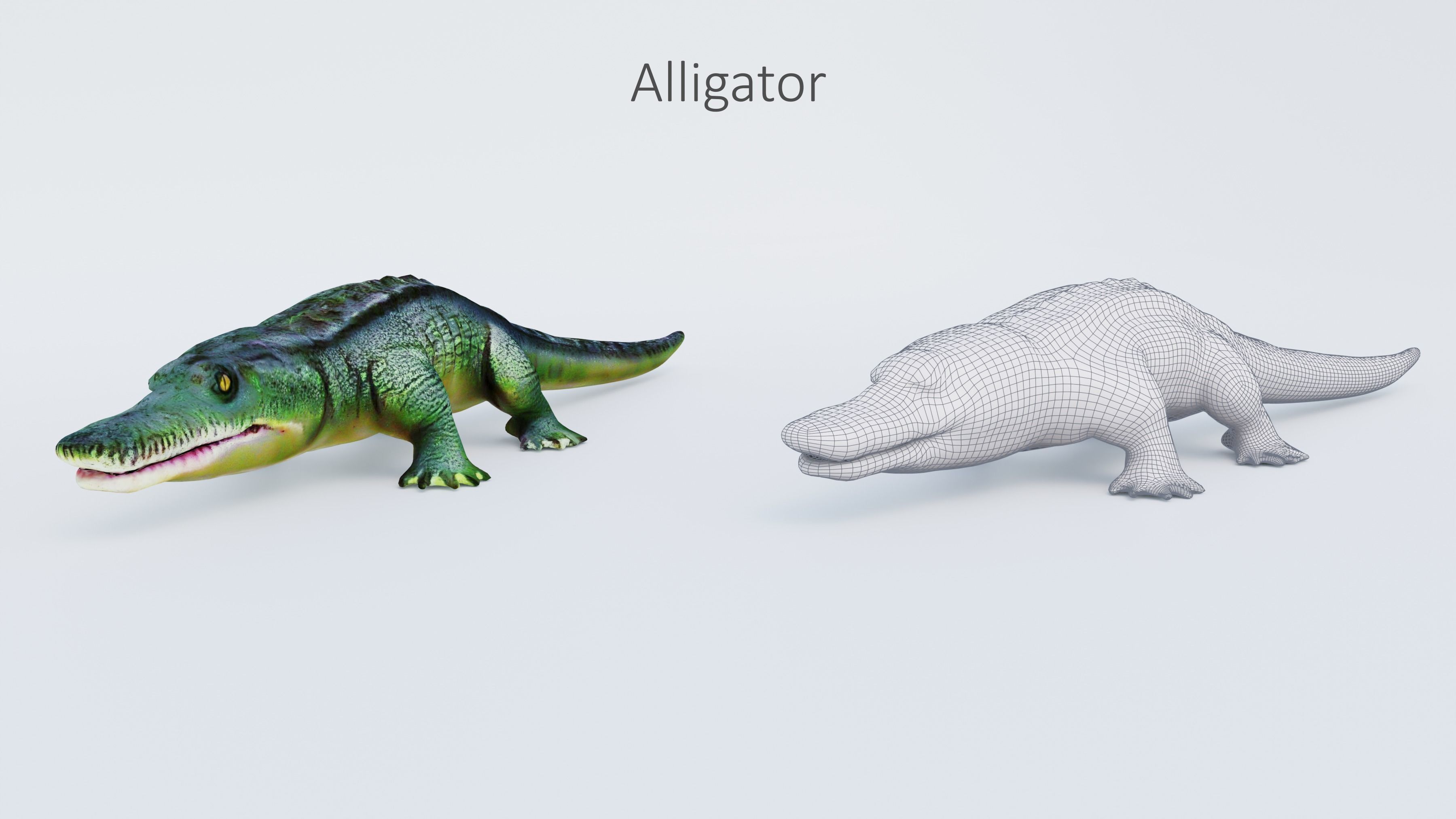 102 Animals Ultimate Collection 3D model_95