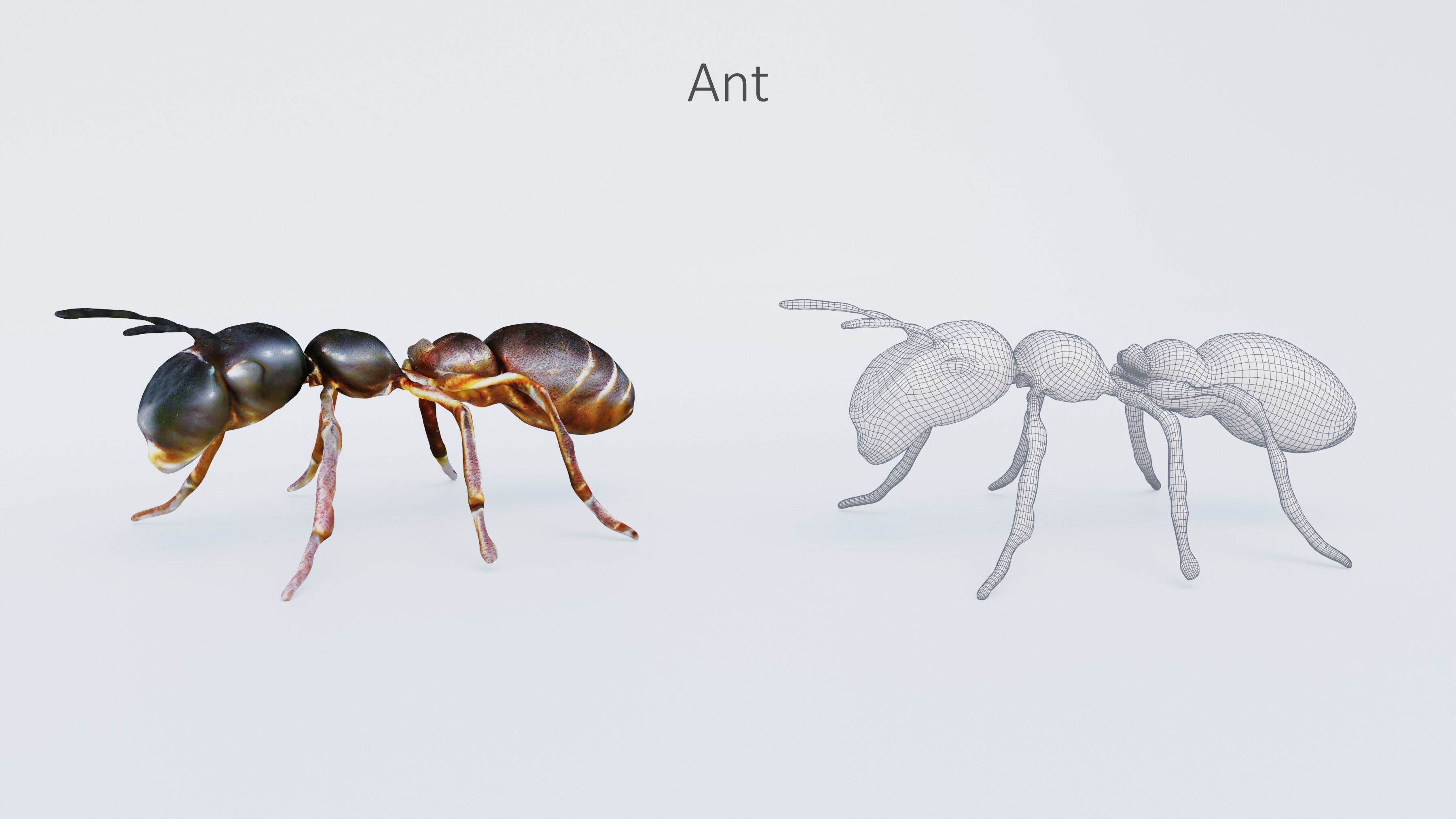 102 Animals Ultimate Collection 3D model_102