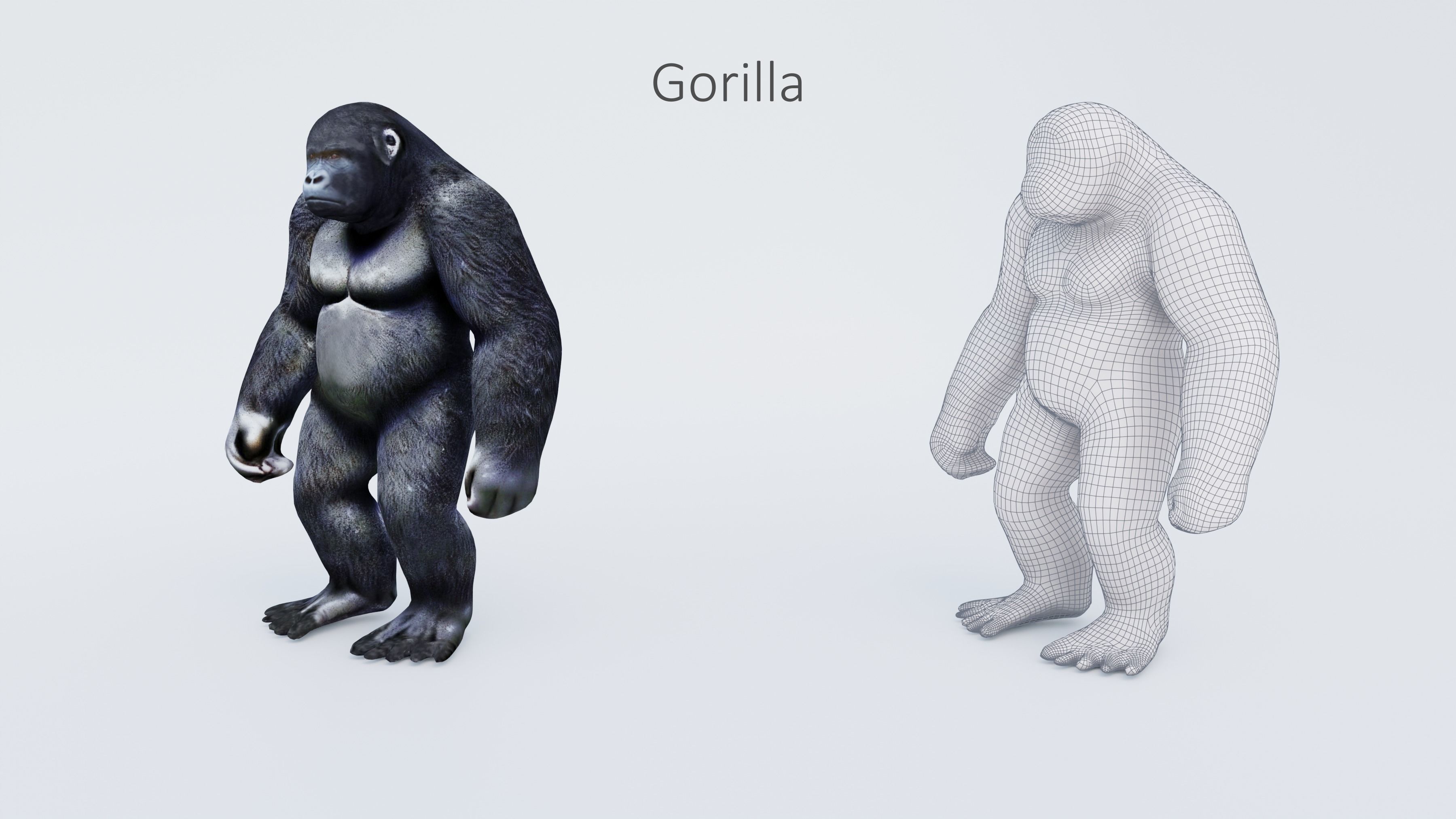 102 Animals Ultimate Collection 3D model_37