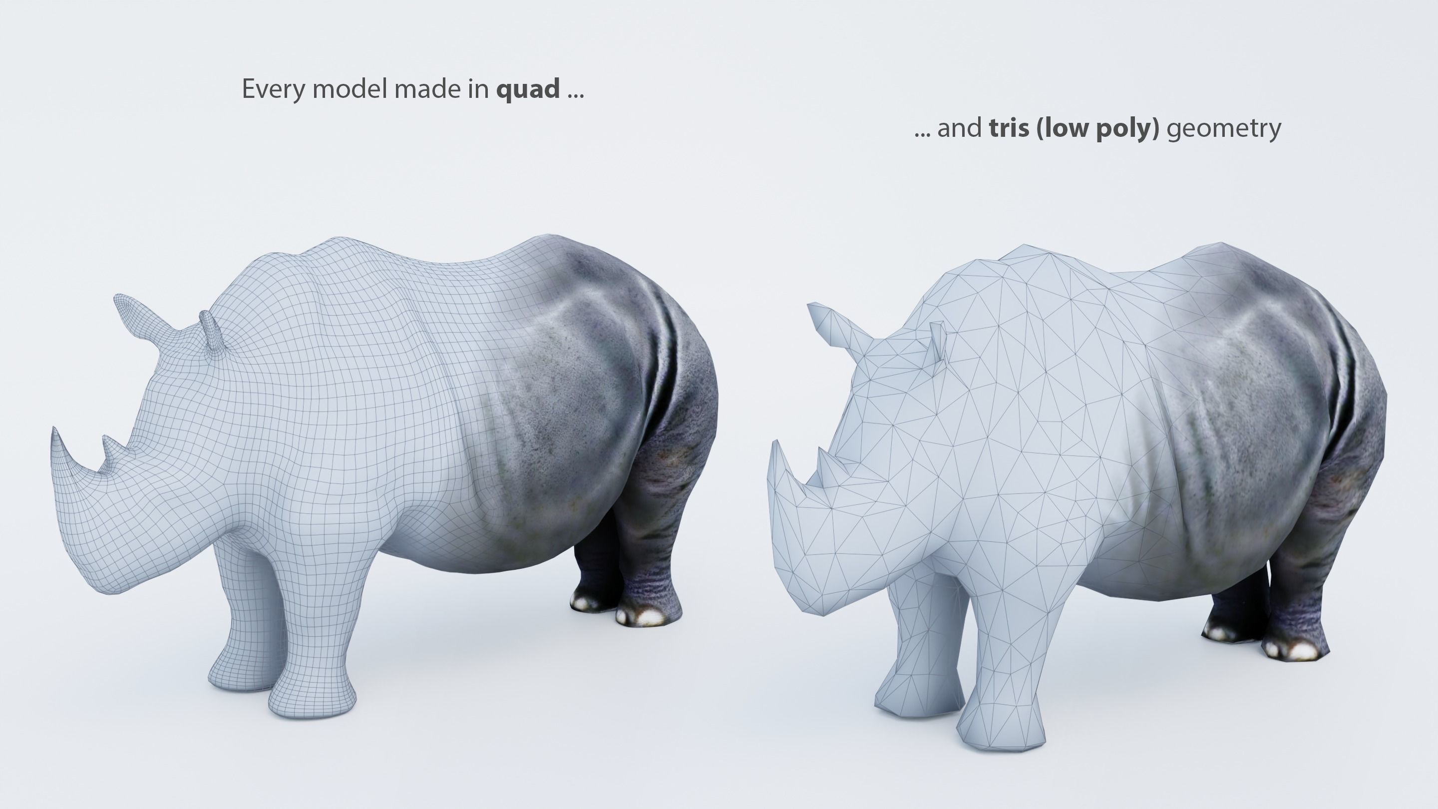 102 Animals Ultimate Collection 3D model_2