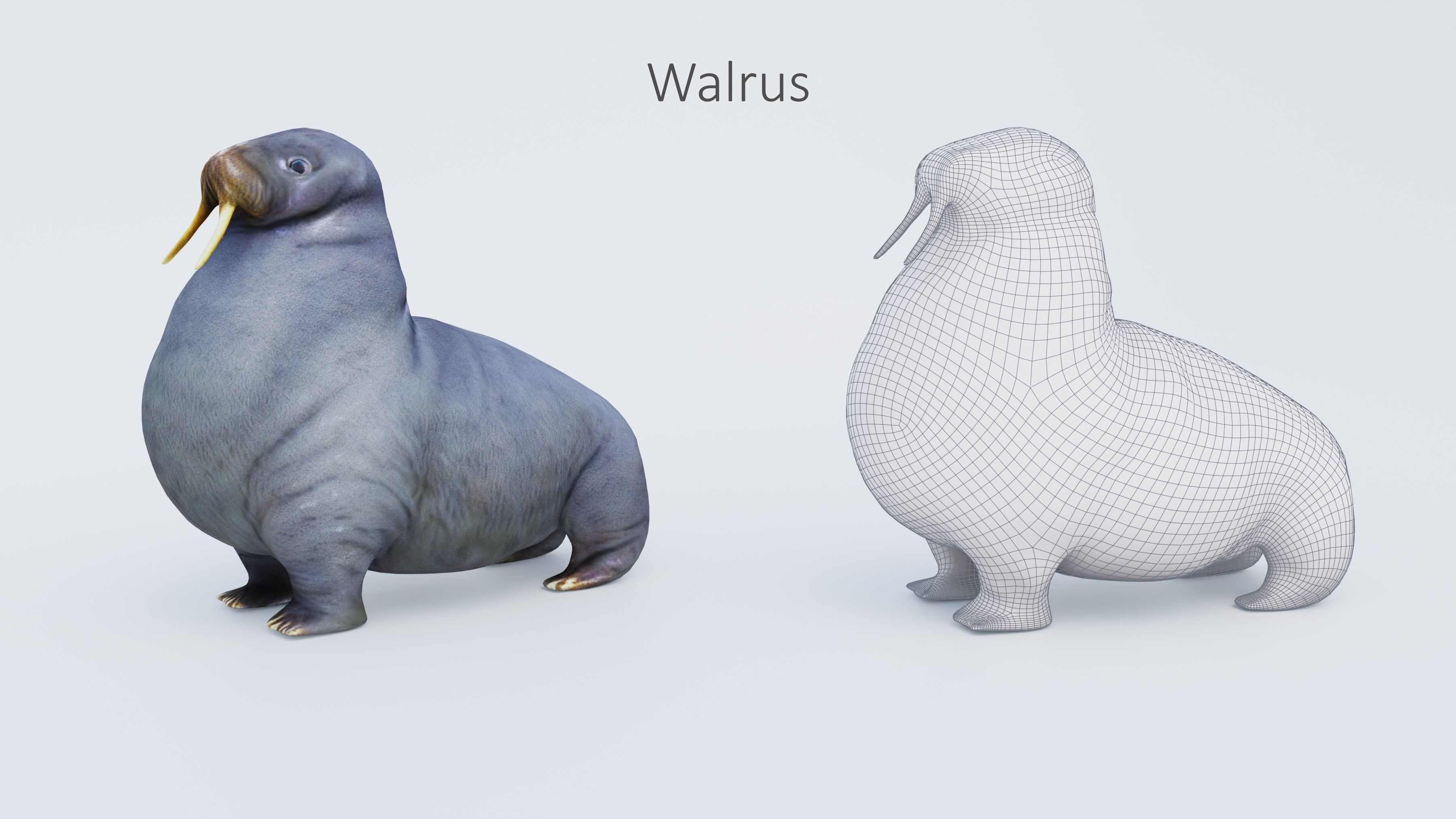 102 Animals Ultimate Collection 3D model_56