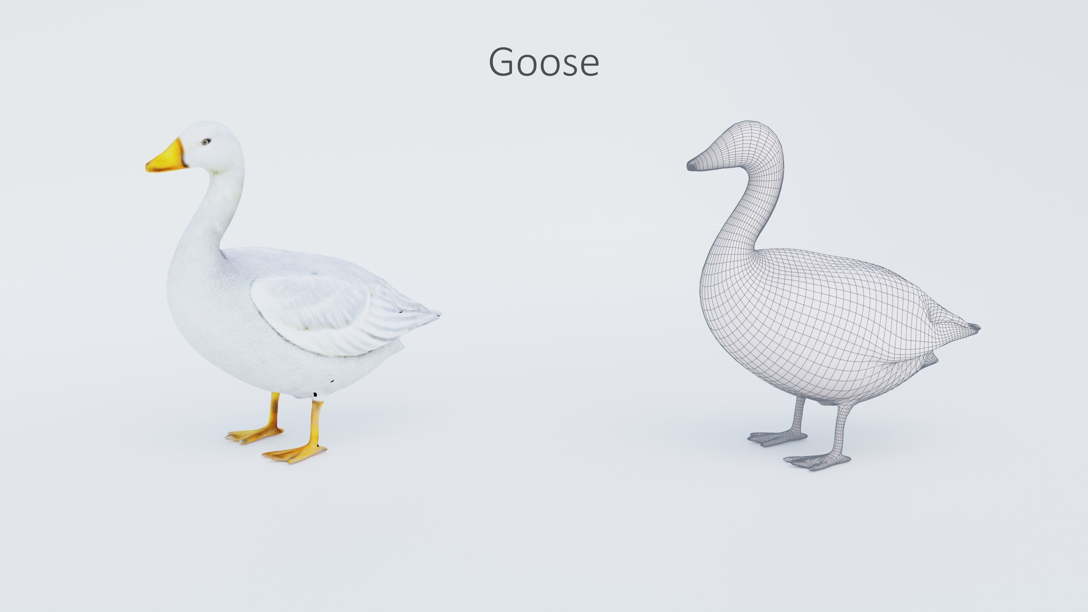 102 Animals Ultimate Collection 3D model_82