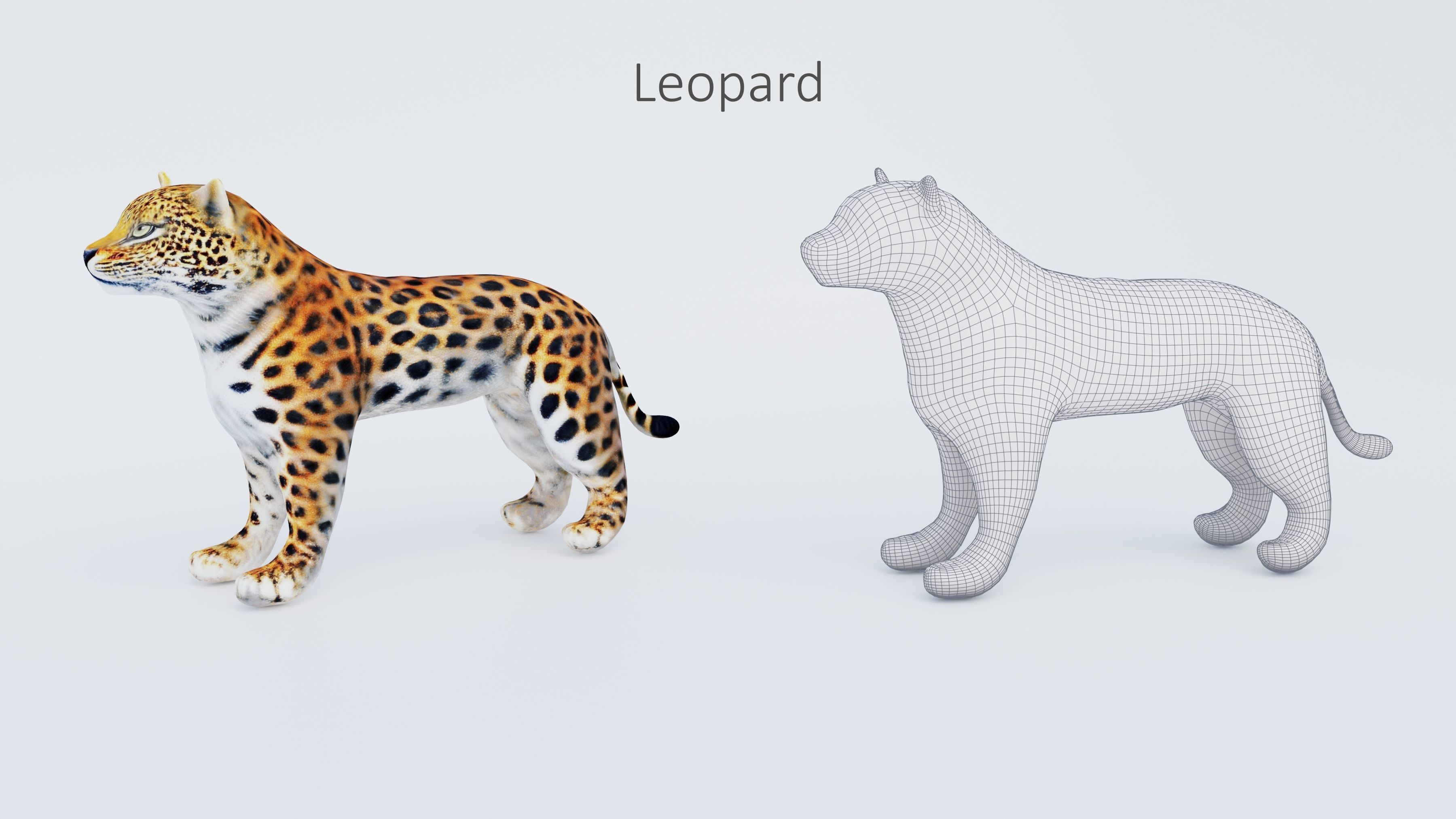 102 Animals Ultimate Collection 3D model_40